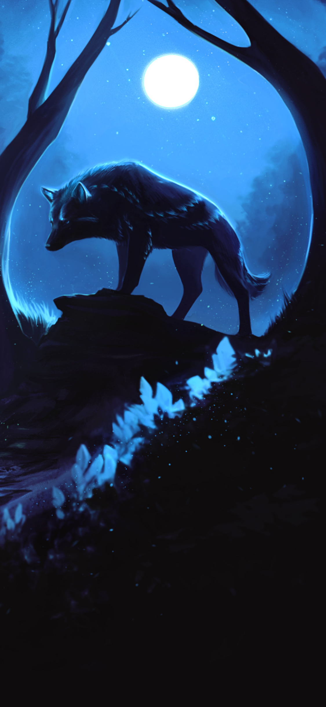 Wolf Phone Wallpapers