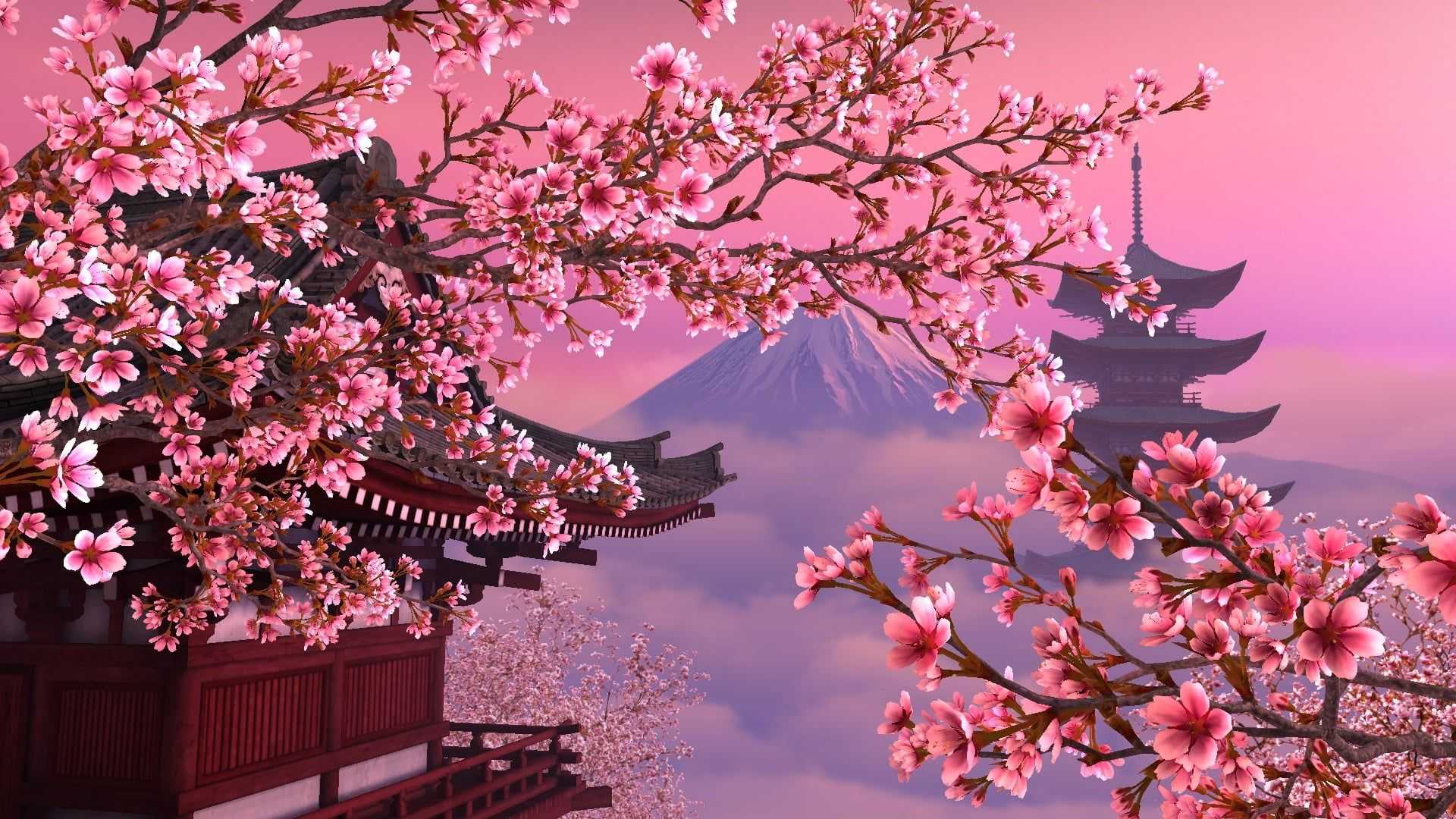 Cherry Blossom Anime Aesthetic Wallpapers