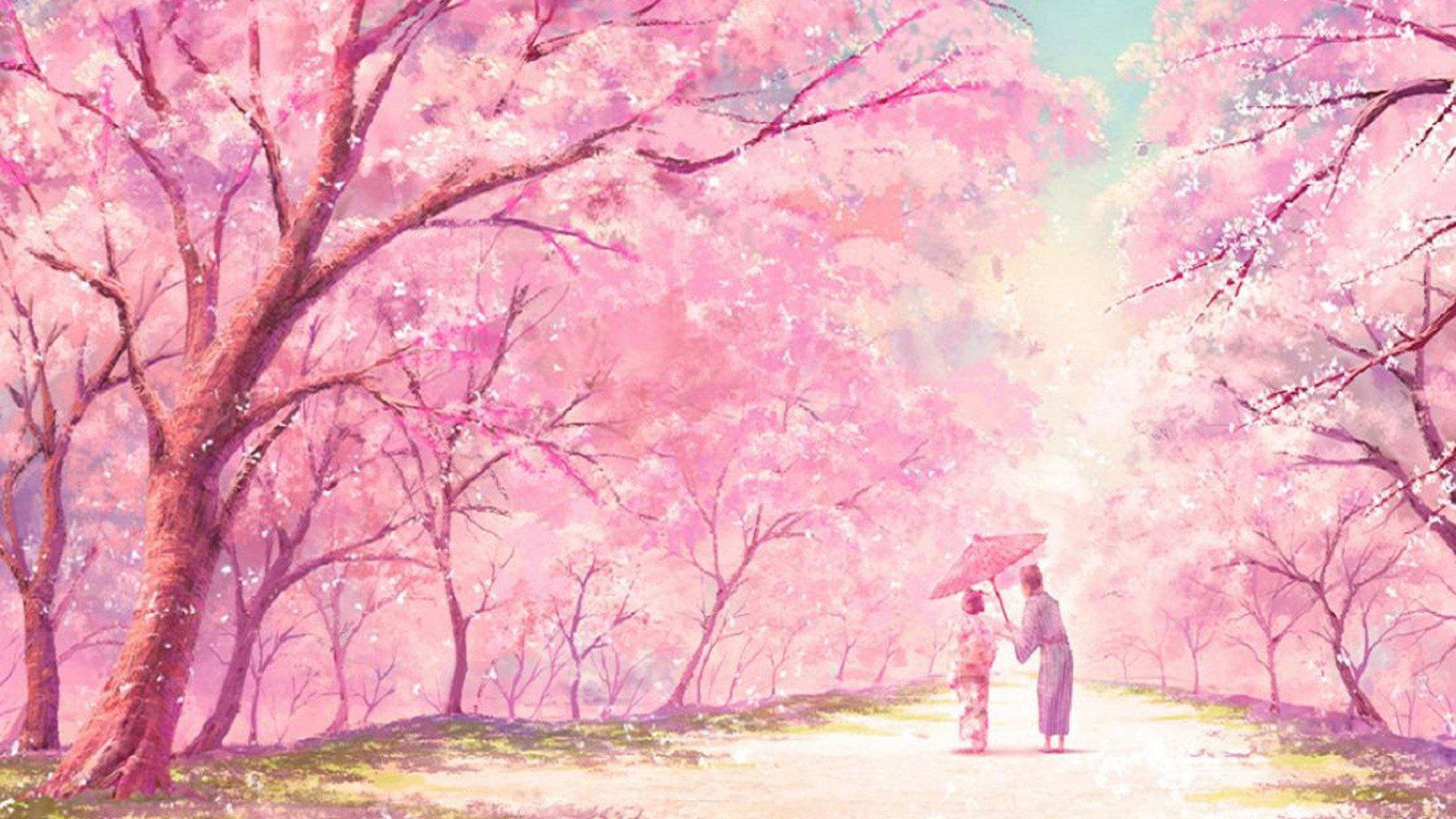 Cherry Blossom Anime Aesthetic Wallpapers