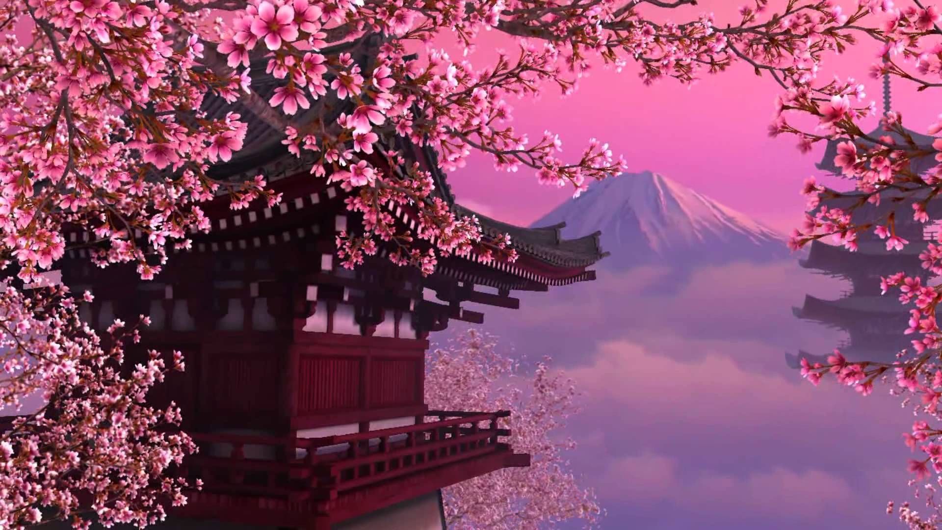 Cherry Blossom Hd Wallpapers