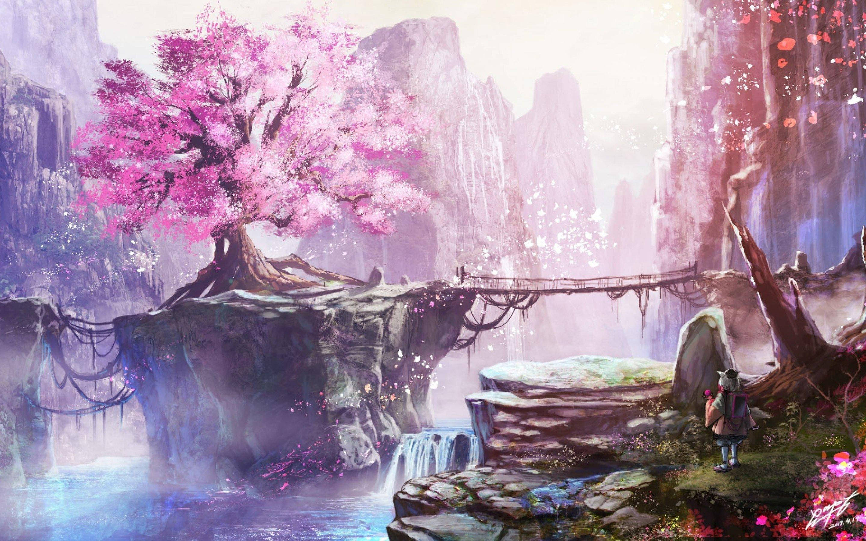 Cherry Blossom Laptop Wallpapers