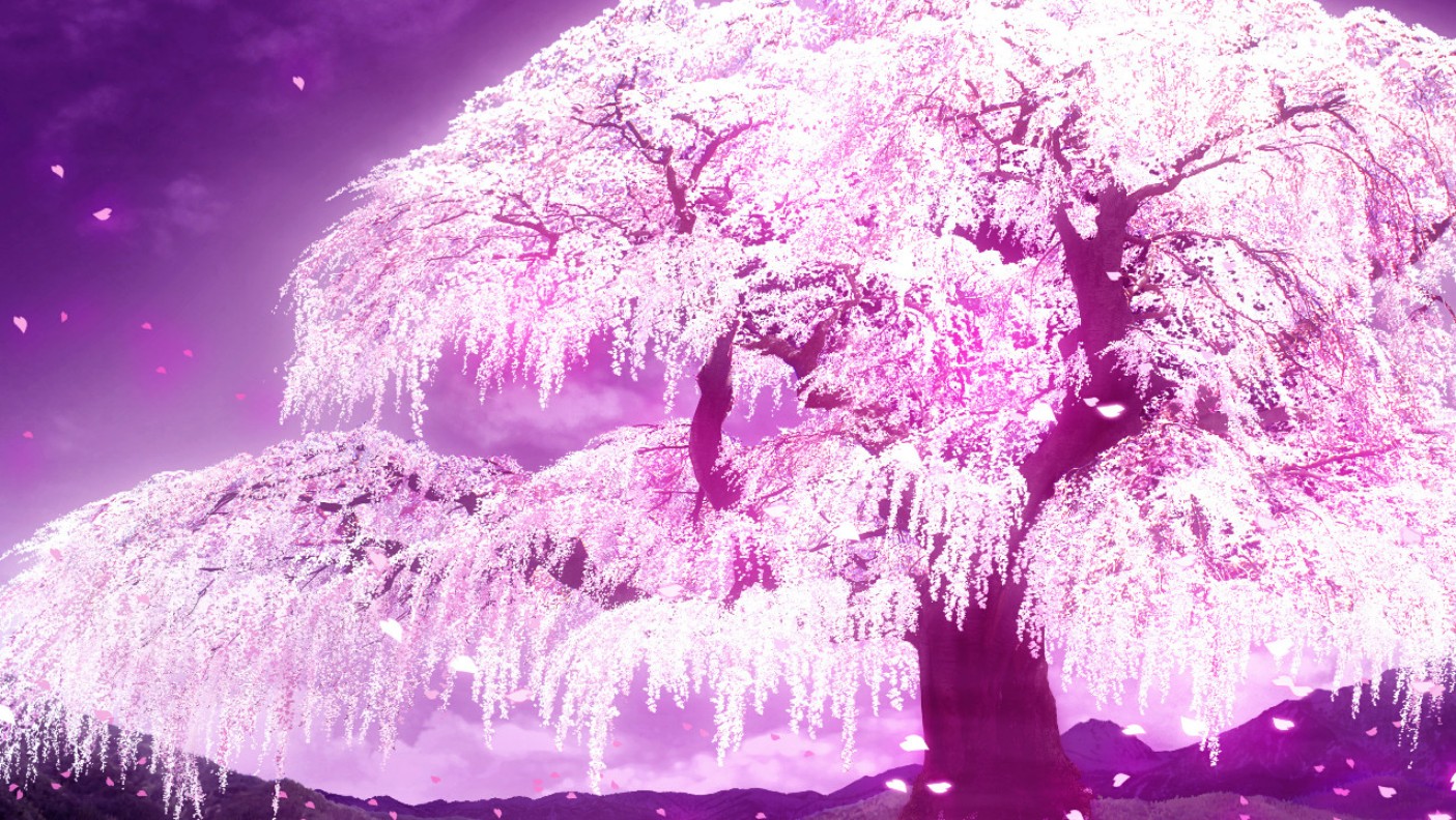 Cherry Blossom Tree Anime Wallpapers