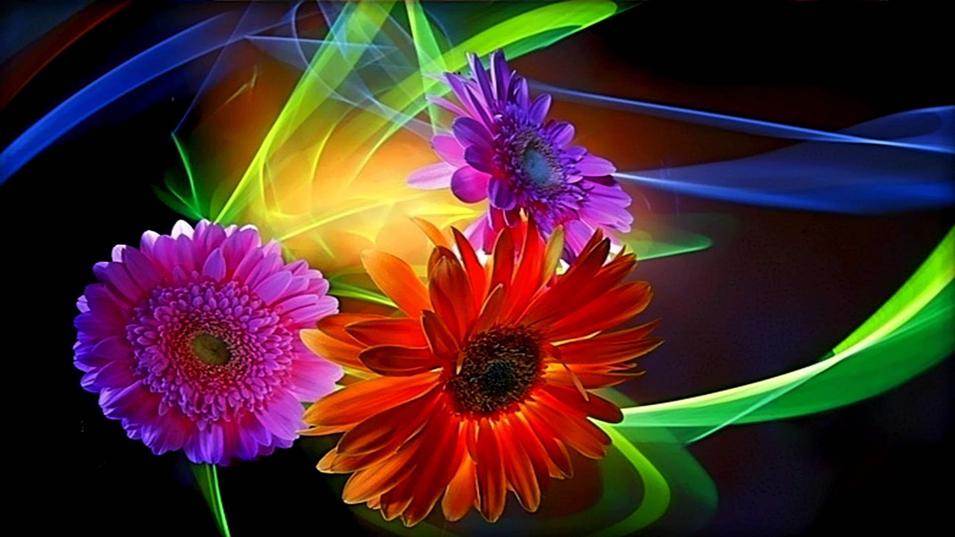 Colorful Abstract Flower Wallpapers