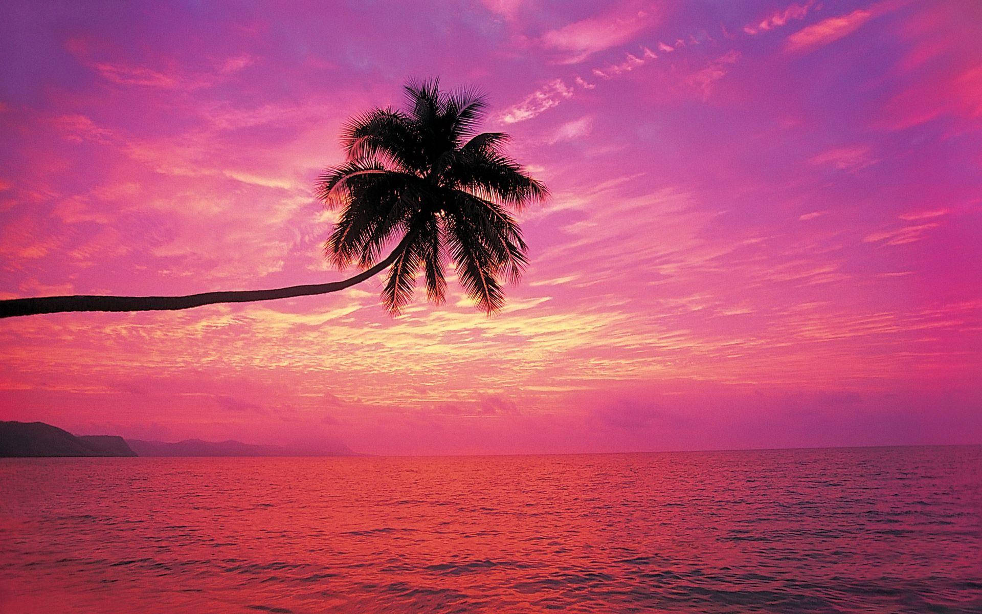 Colorful Beach Sunset Wallpapers