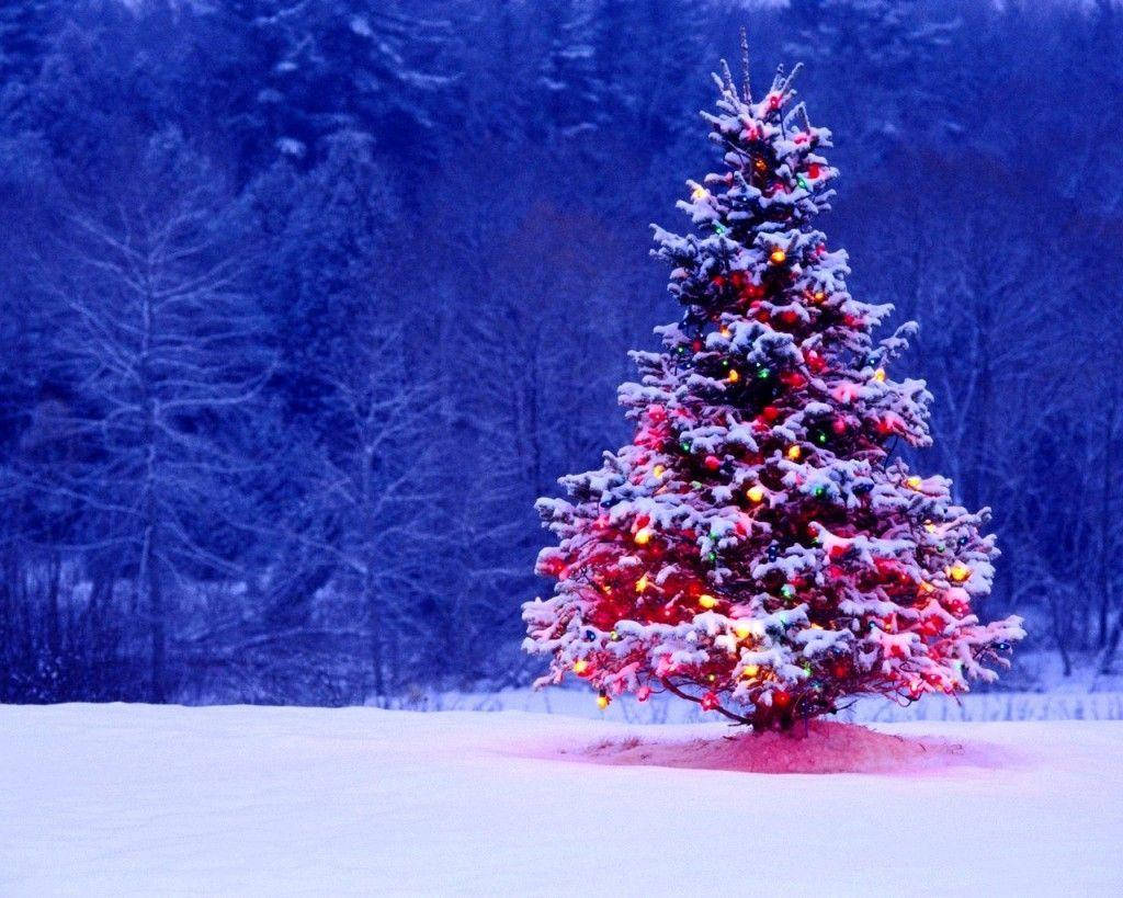 Colorful Christmas Wallpapers