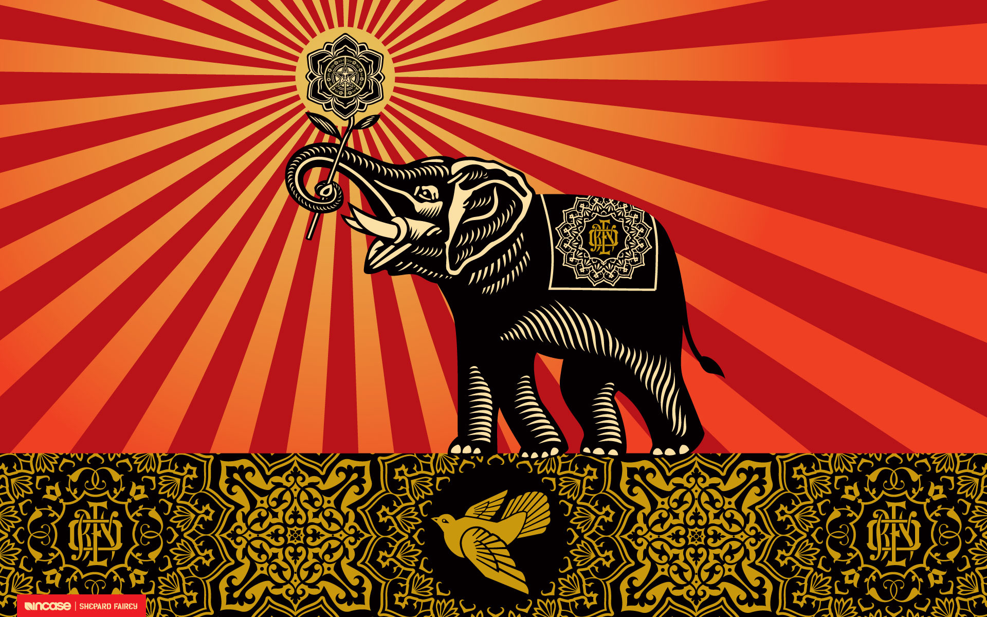 Colorful Elephant Wallpapers