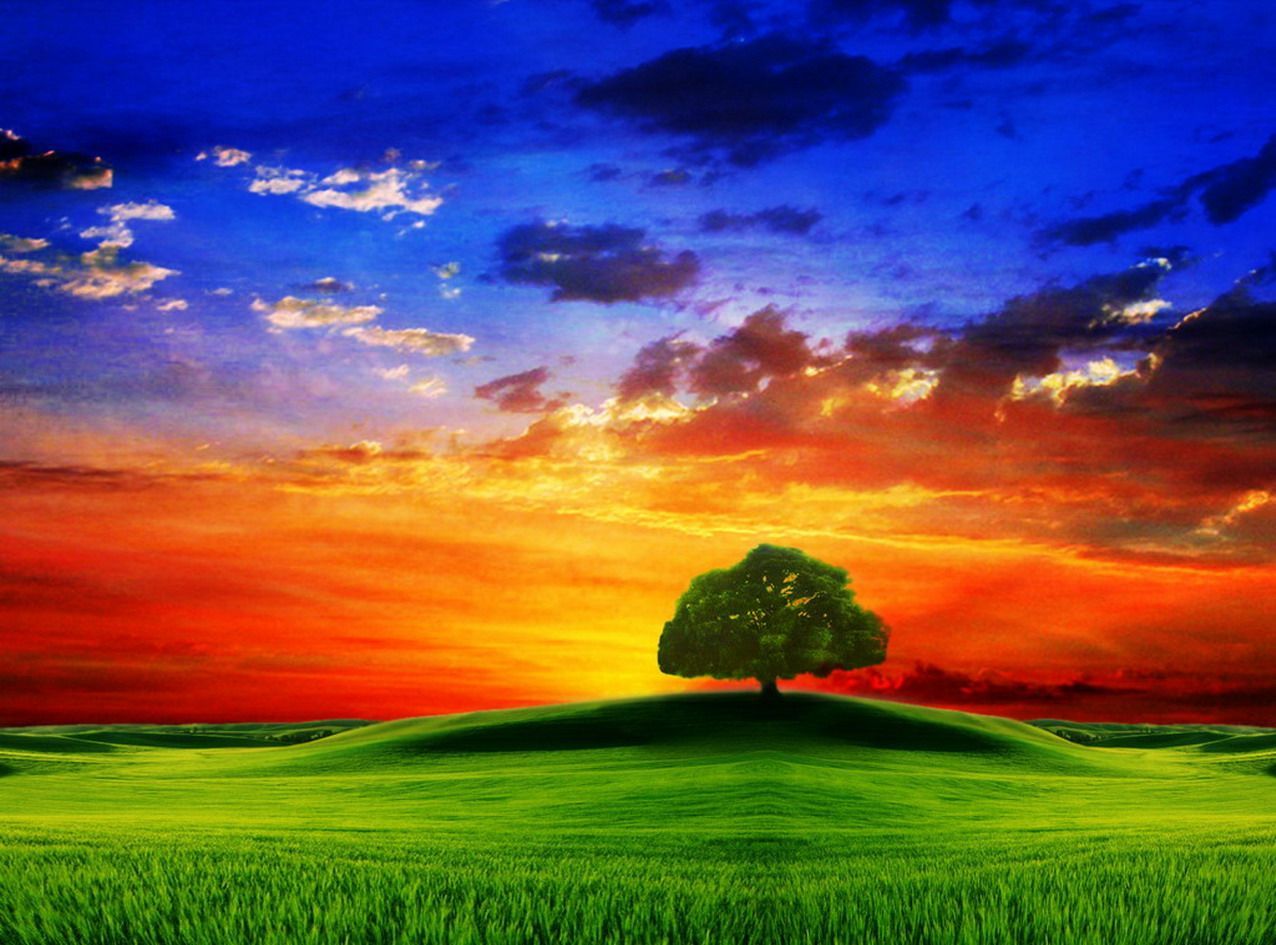 Colorful Nature Wallpapers