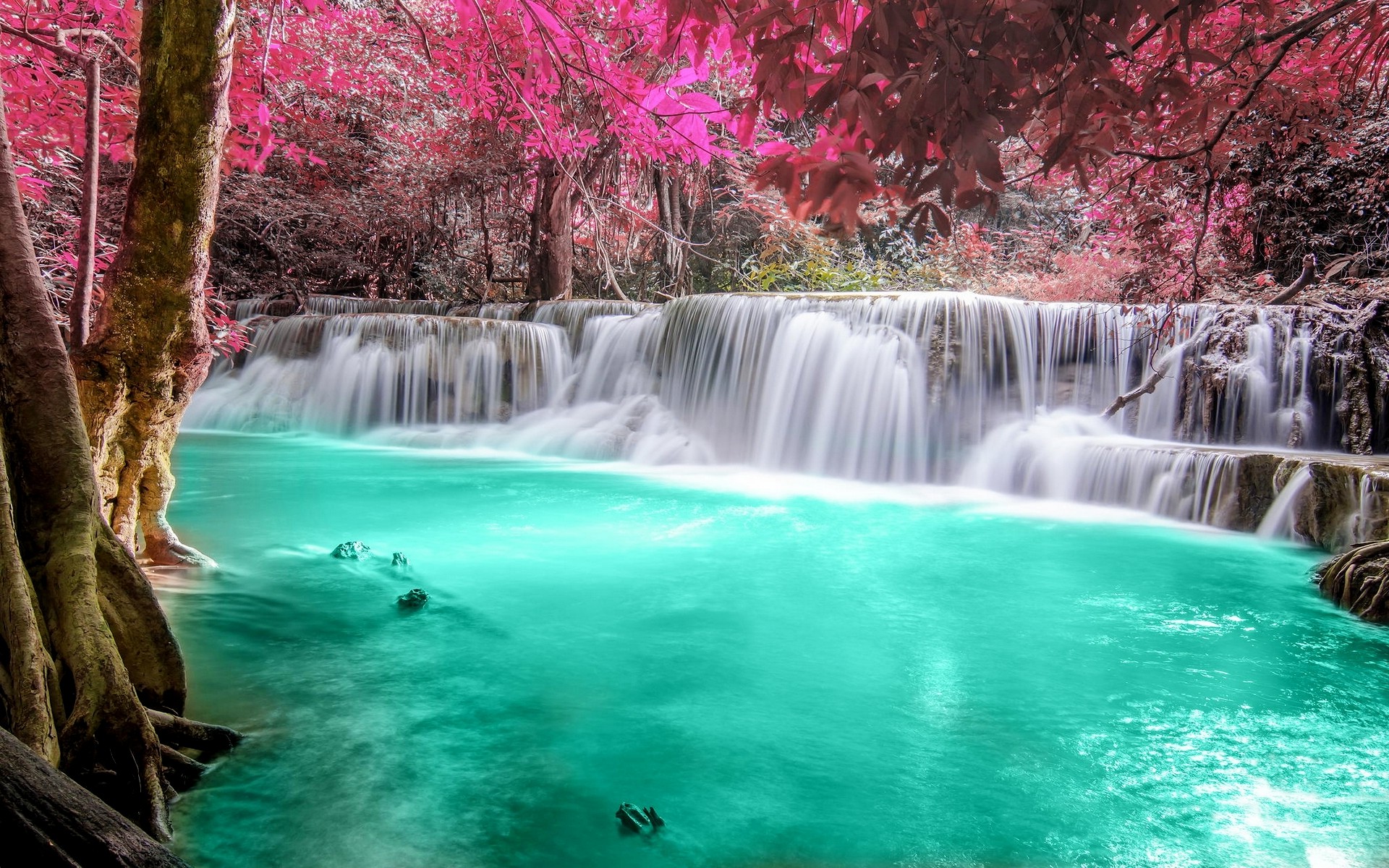 Colorful Nature Wallpapers