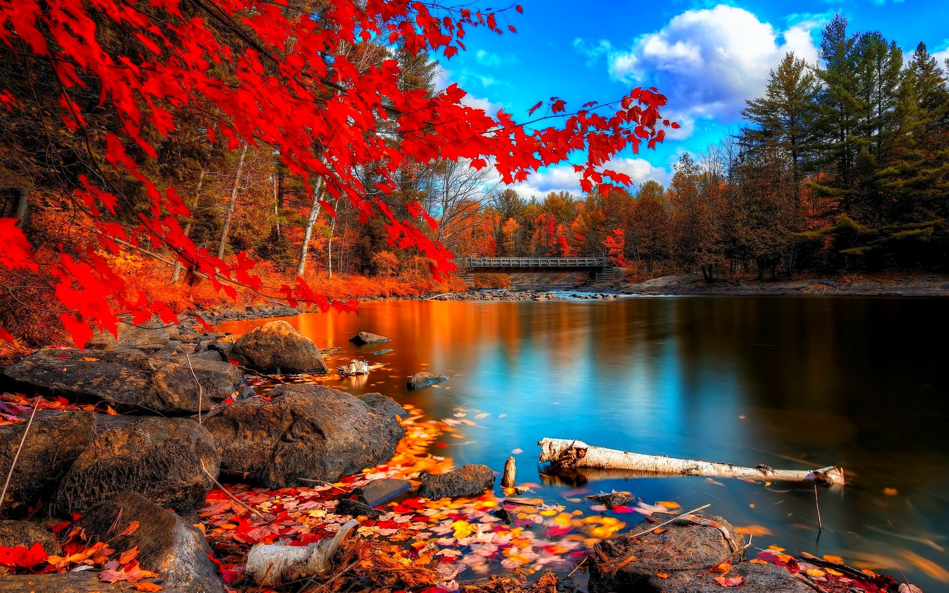 Colorful Nature Landscape Wallpapers