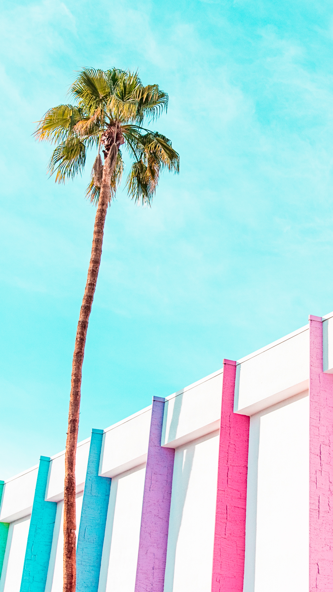 Colorful Palm Tree Wallpapers