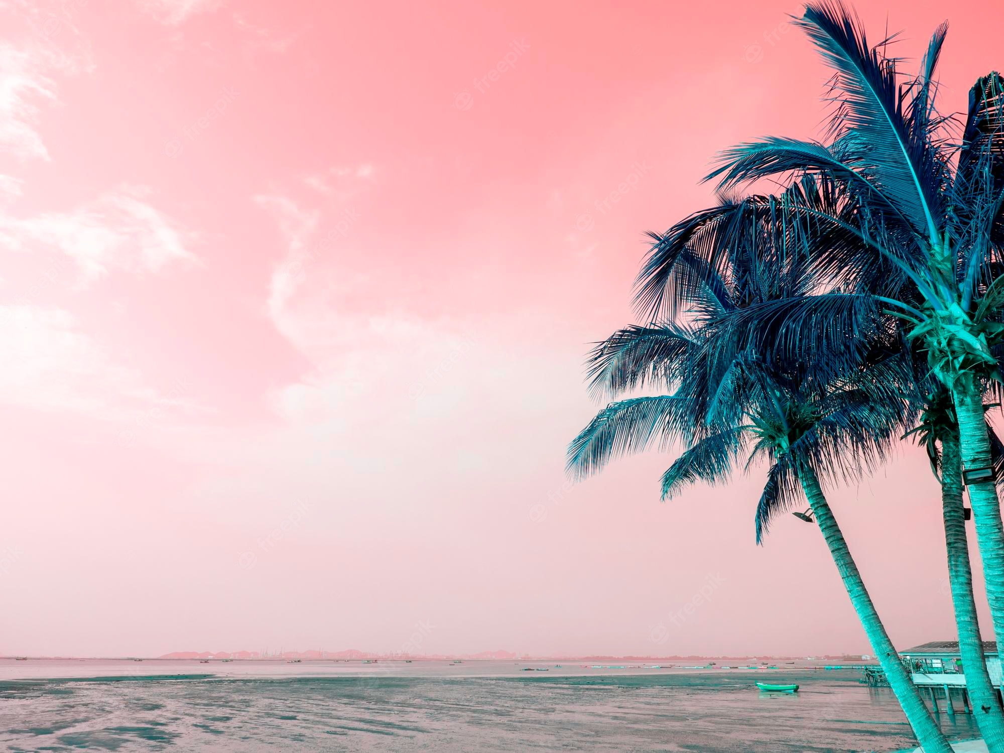 Colorful Palm Tree Wallpapers