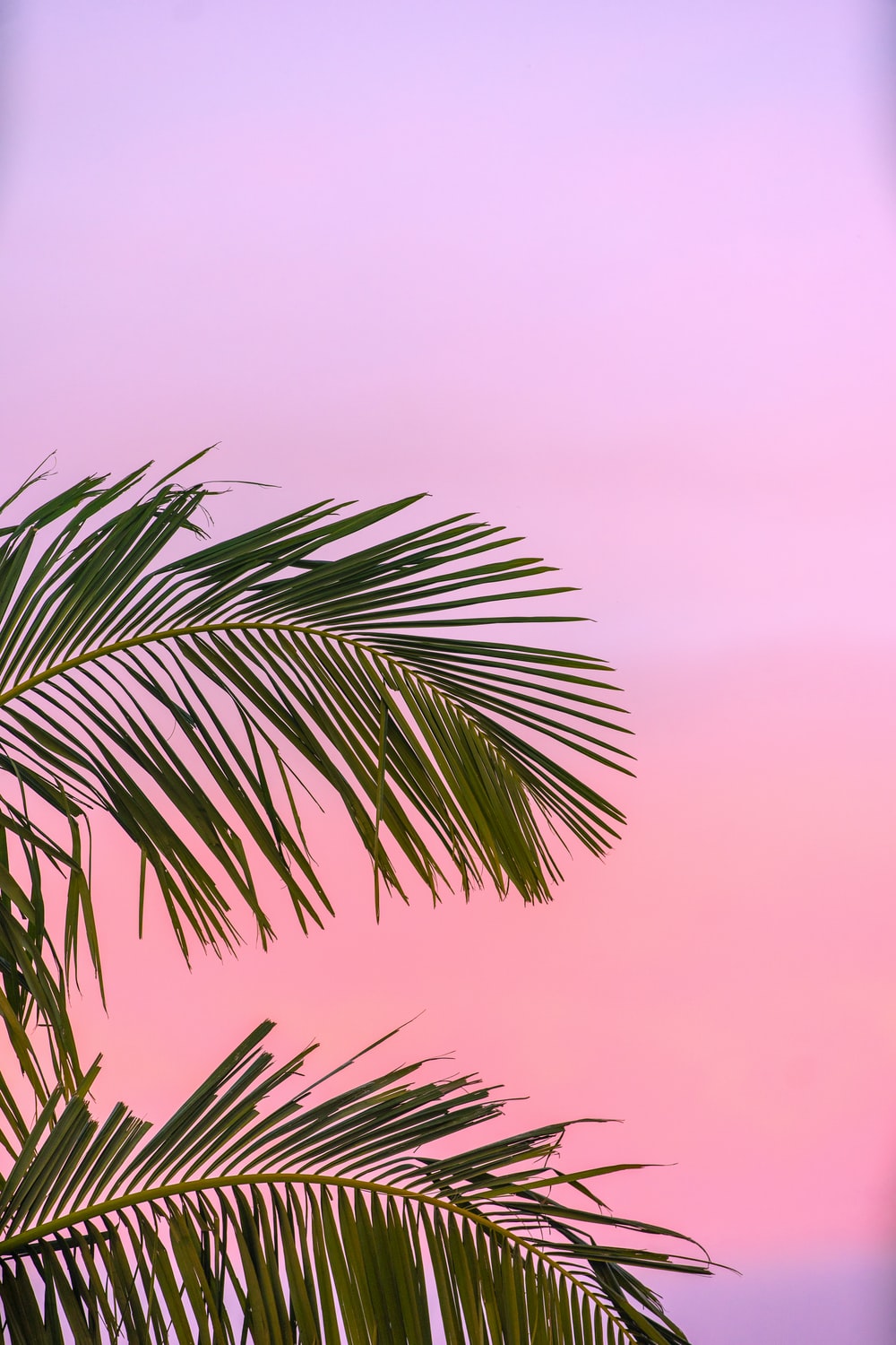 Colorful Summer Wallpapers