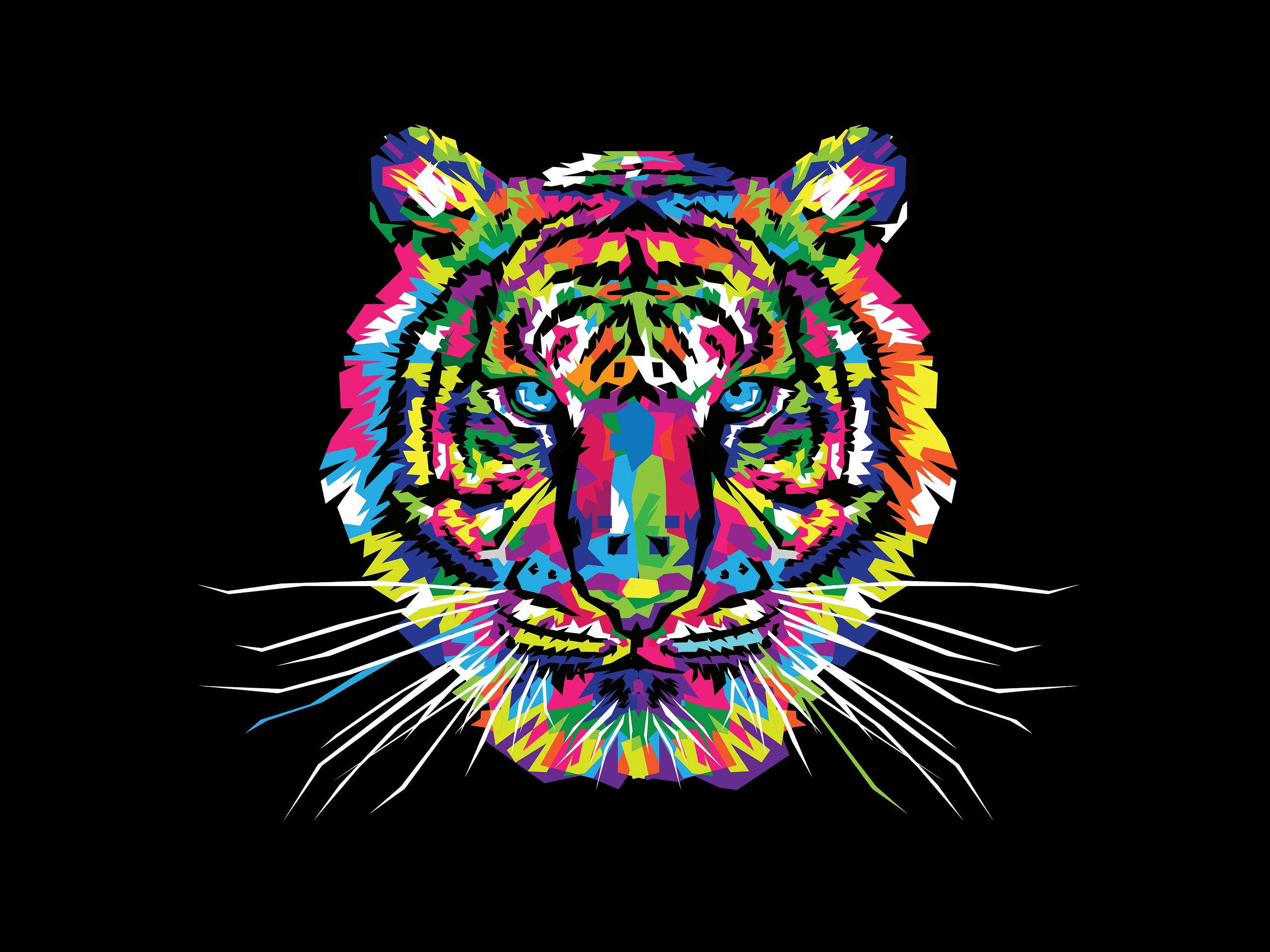 Colorful Tiger Wallpapers