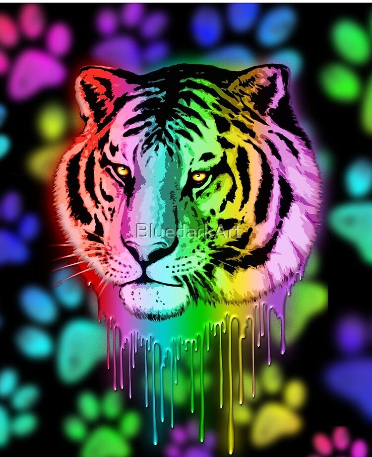 Colorful Tiger Wallpapers