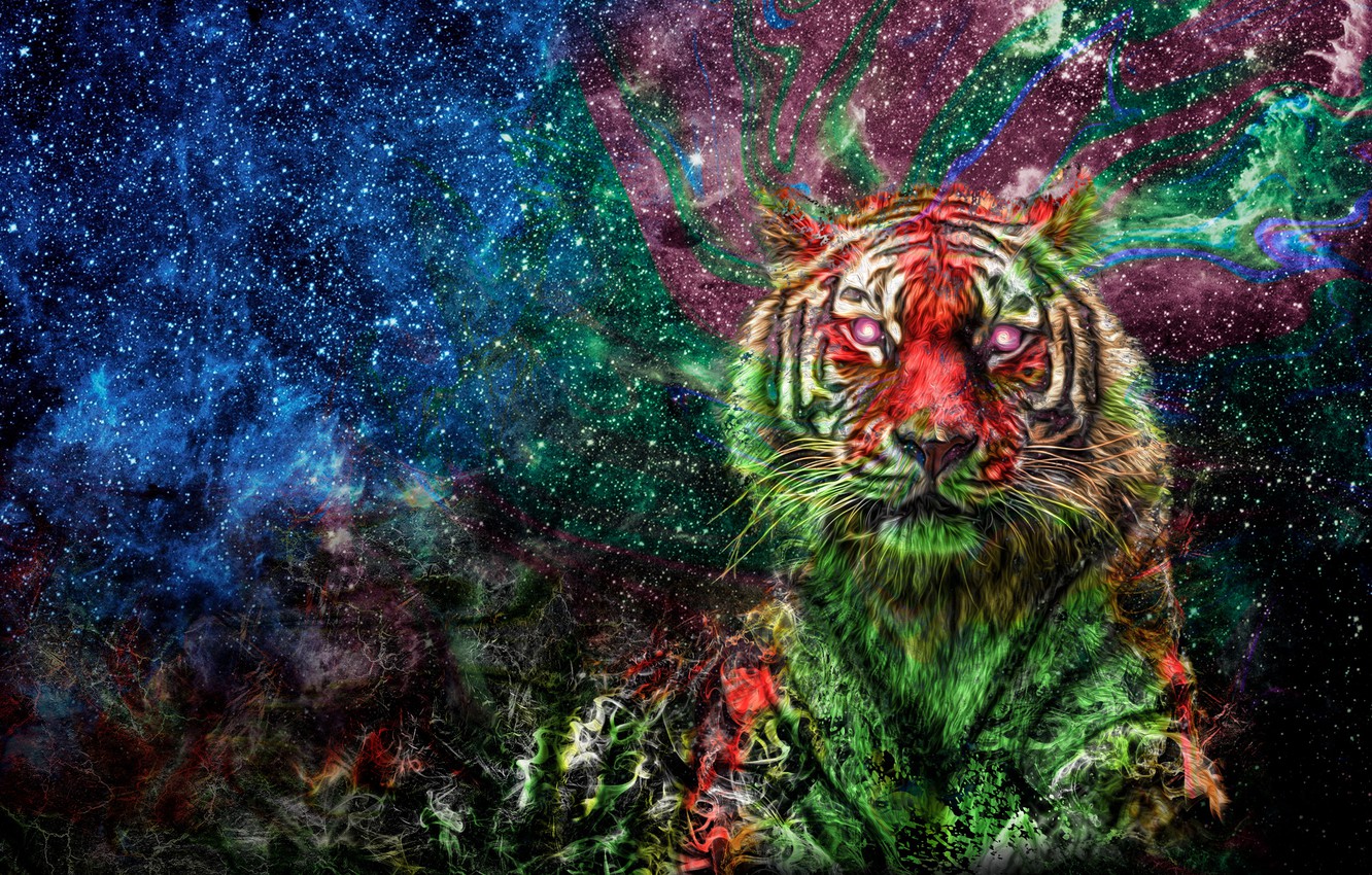 Colorful Tiger Wallpapers