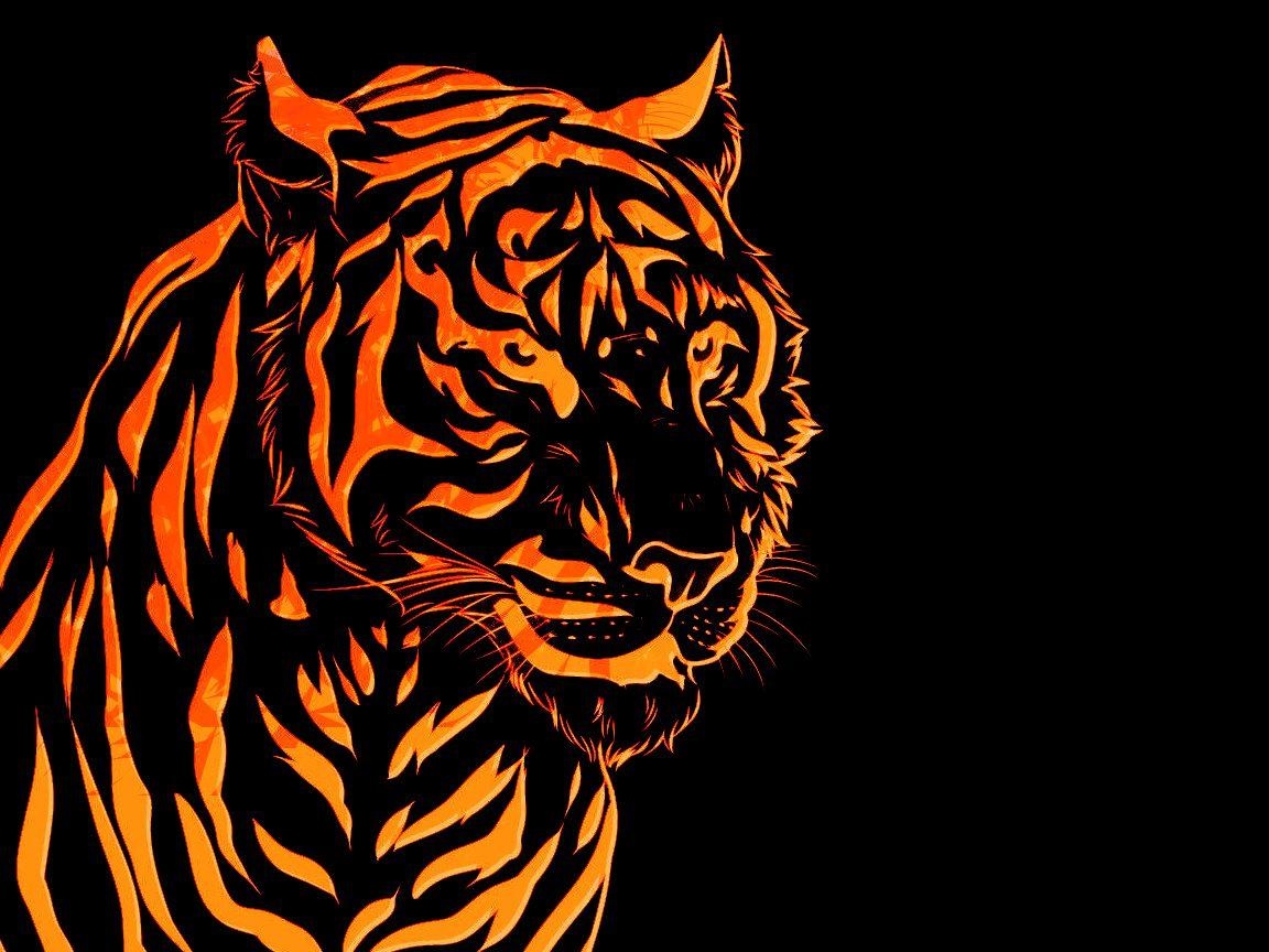 Colorful Tiger Wallpapers