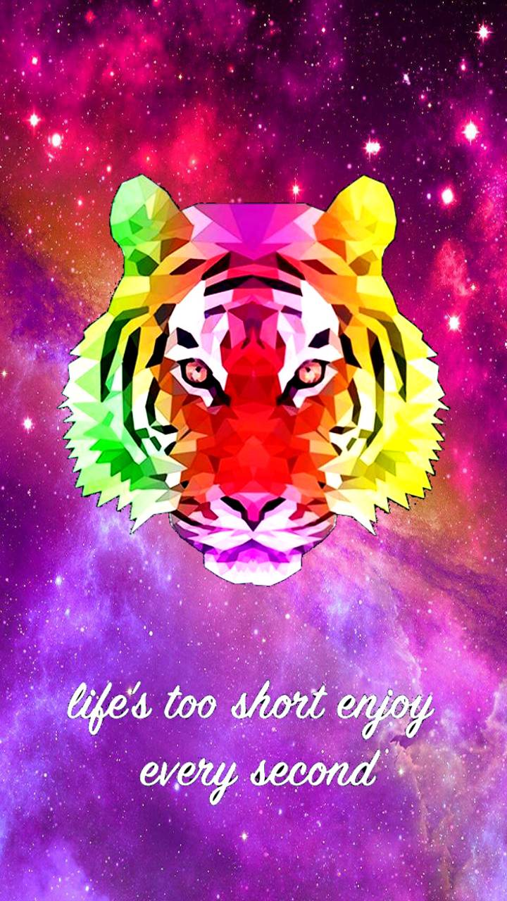 Colorful Tiger Wallpapers