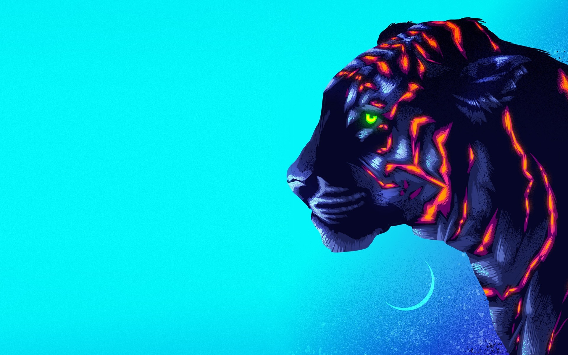 Colorful Tiger Wallpapers