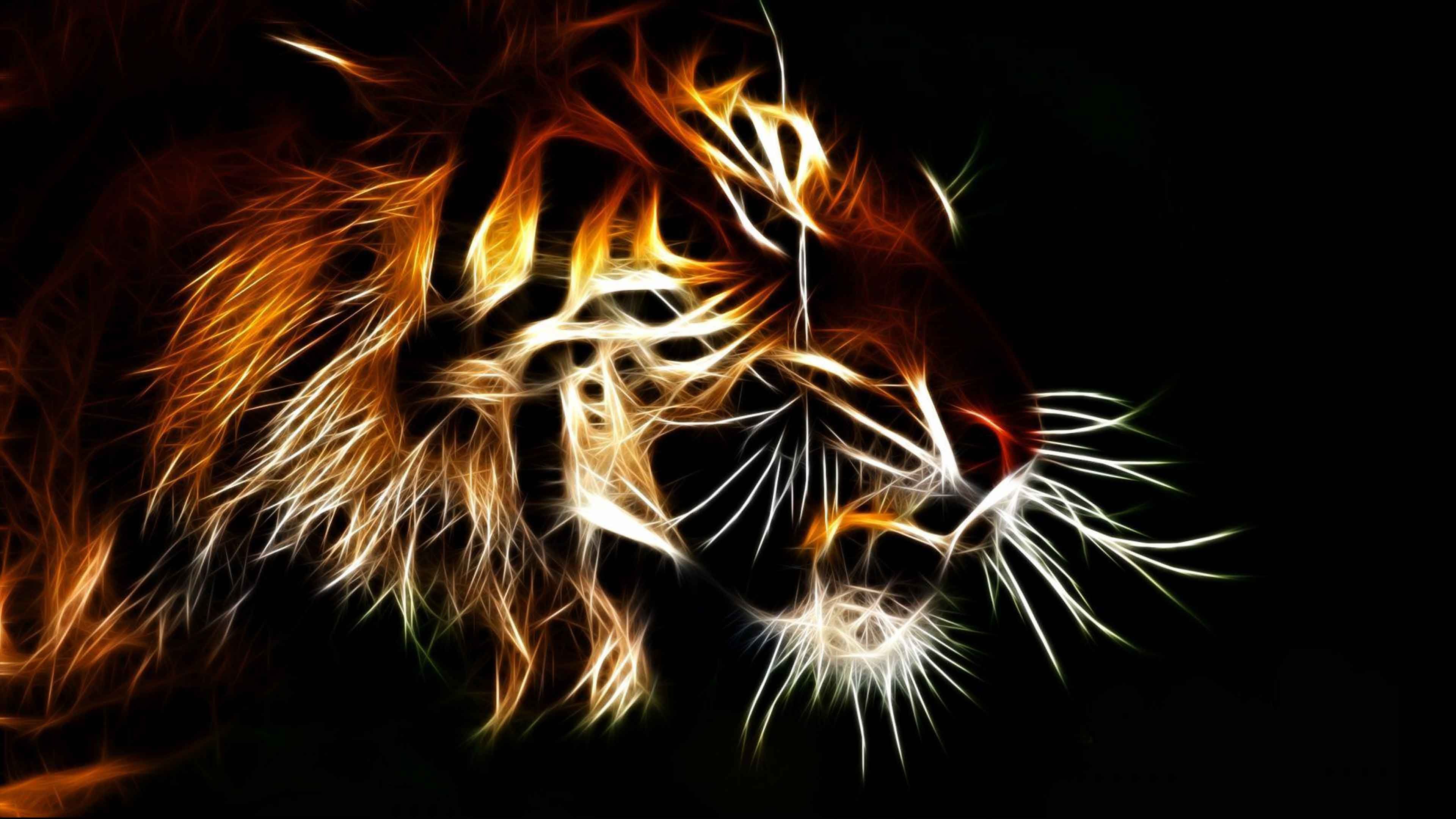 Colorful Tiger Wallpapers