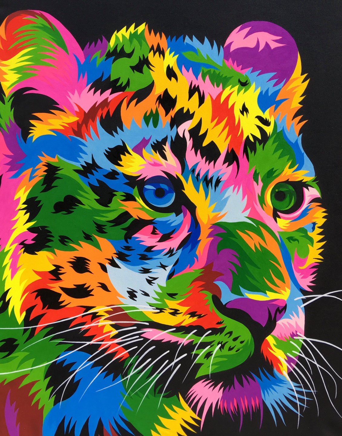 Colorful Tiger Wallpapers