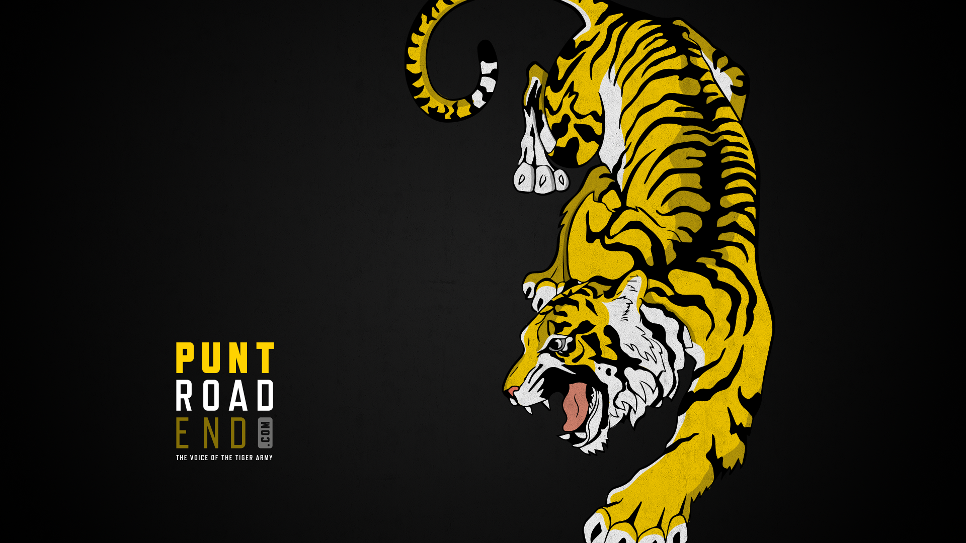 Colorful Tiger Wallpapers