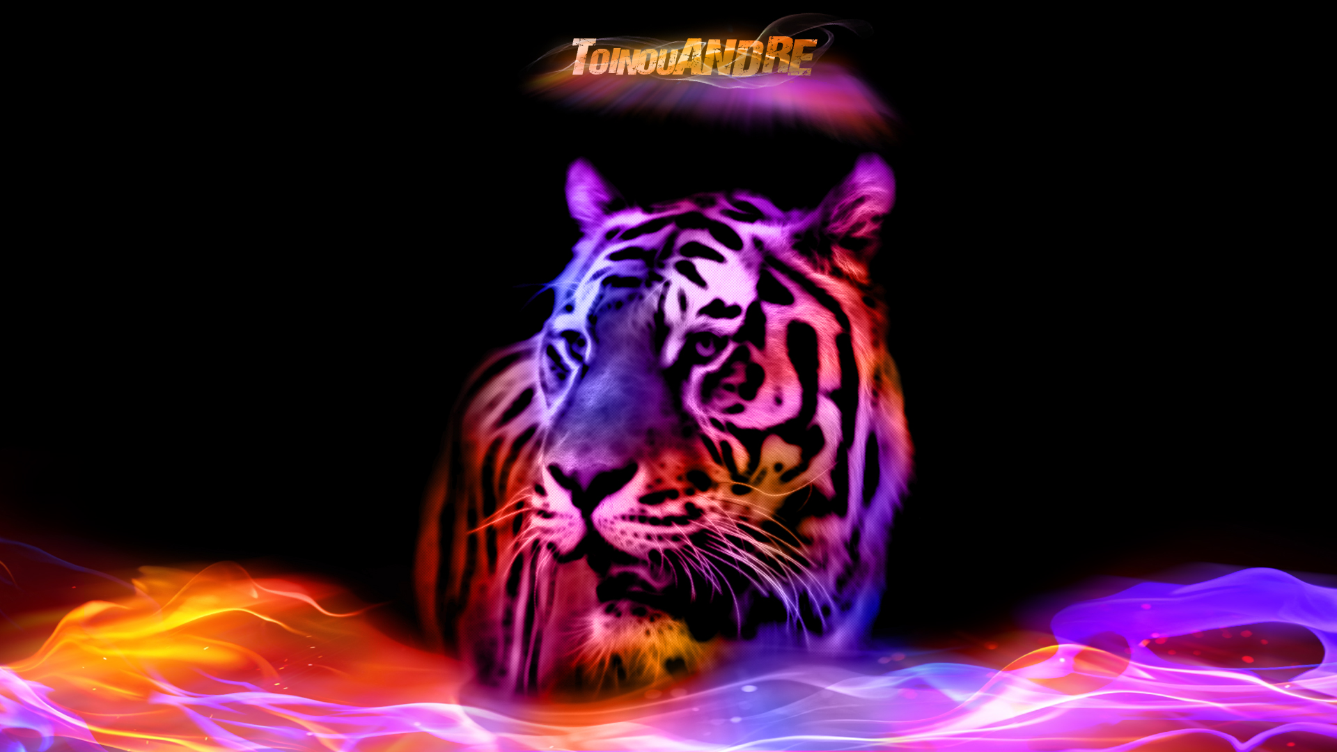 Colorful Tiger Wallpapers