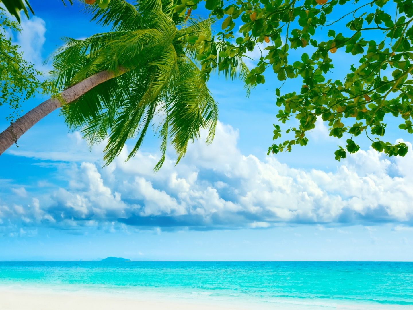 Colorful Tropical Beaches Desktop Wallpapers
