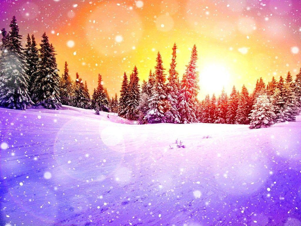 Colorful Winter Trees Wallpapers