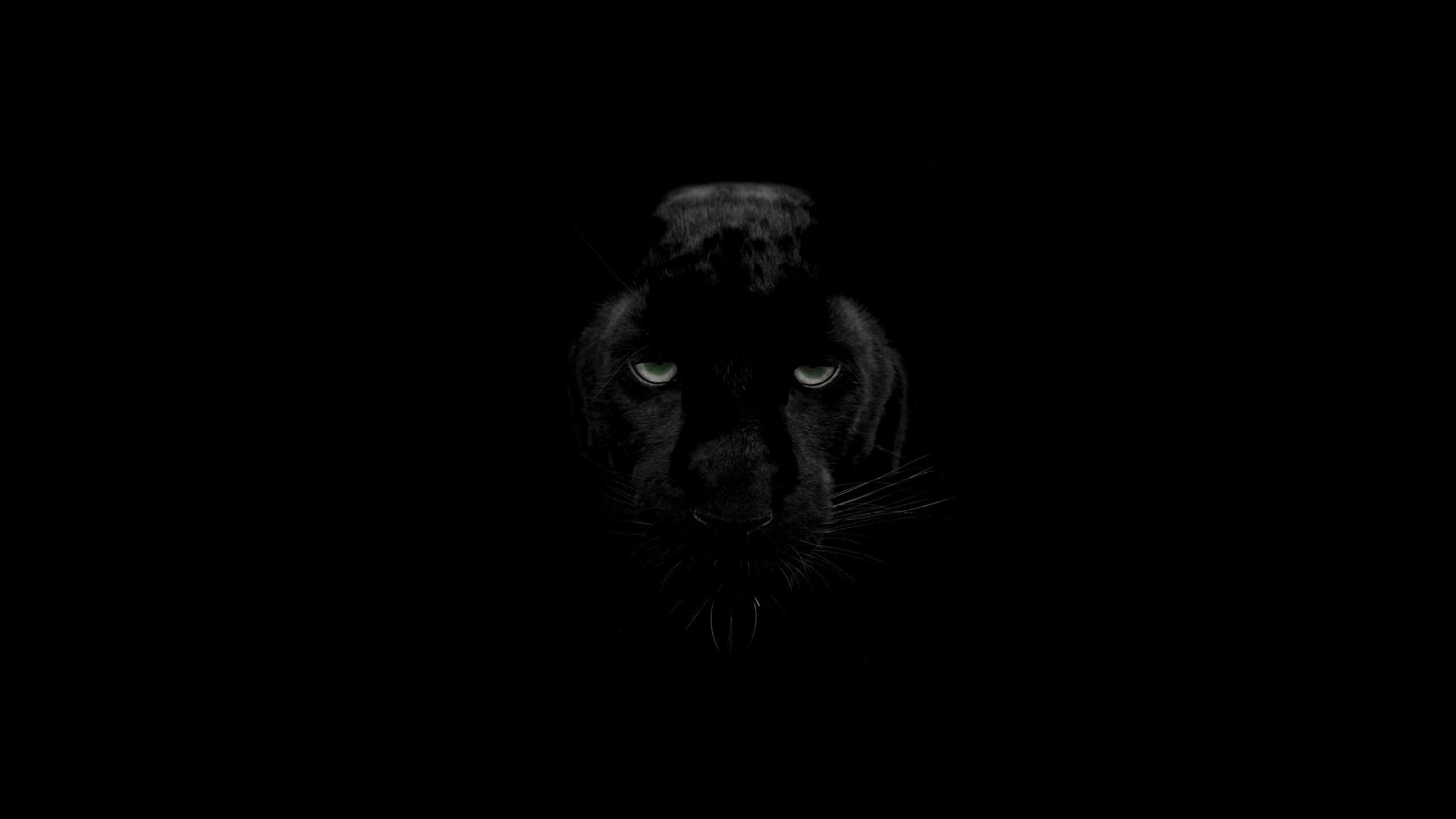 Dark Animals Wallpapers