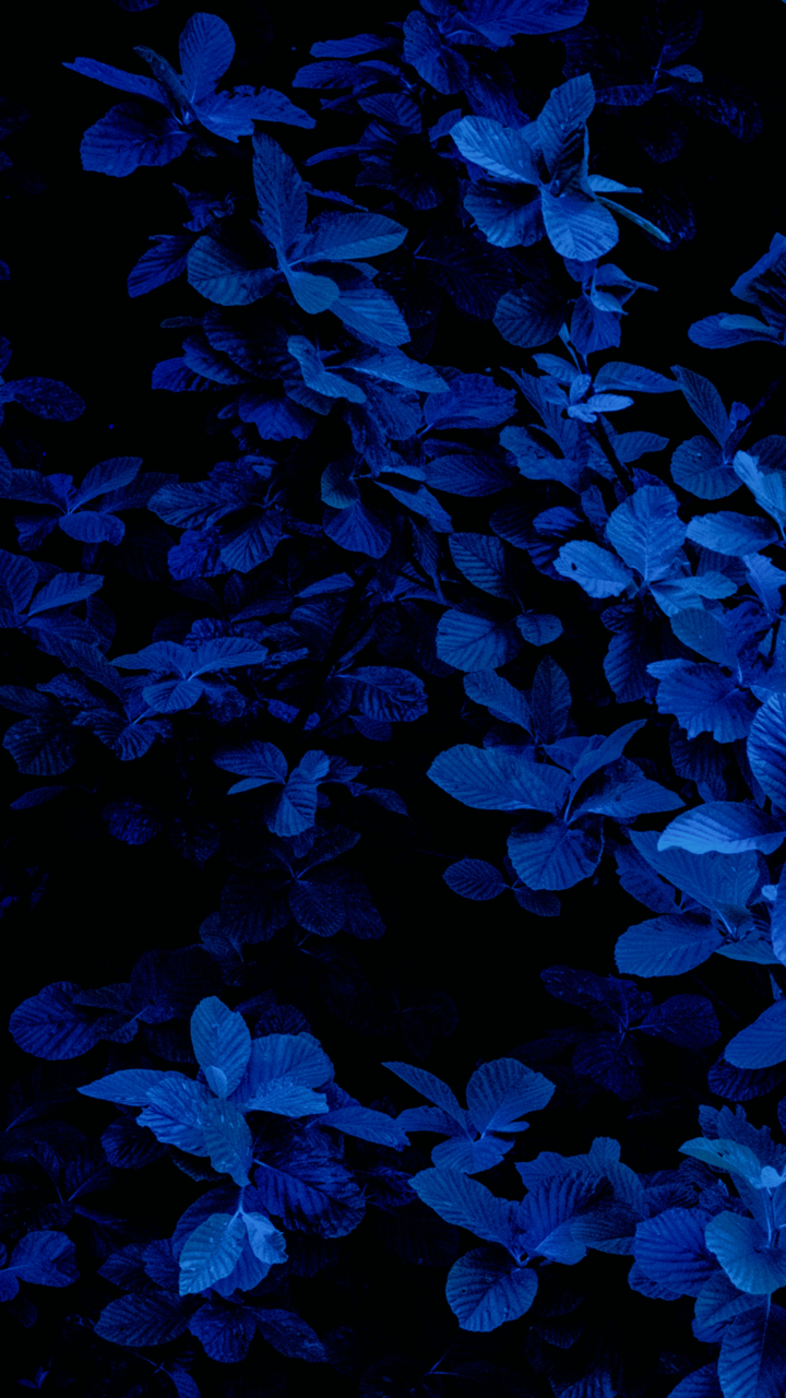 Dark Blue Aesthetic Tumblr Wallpapers