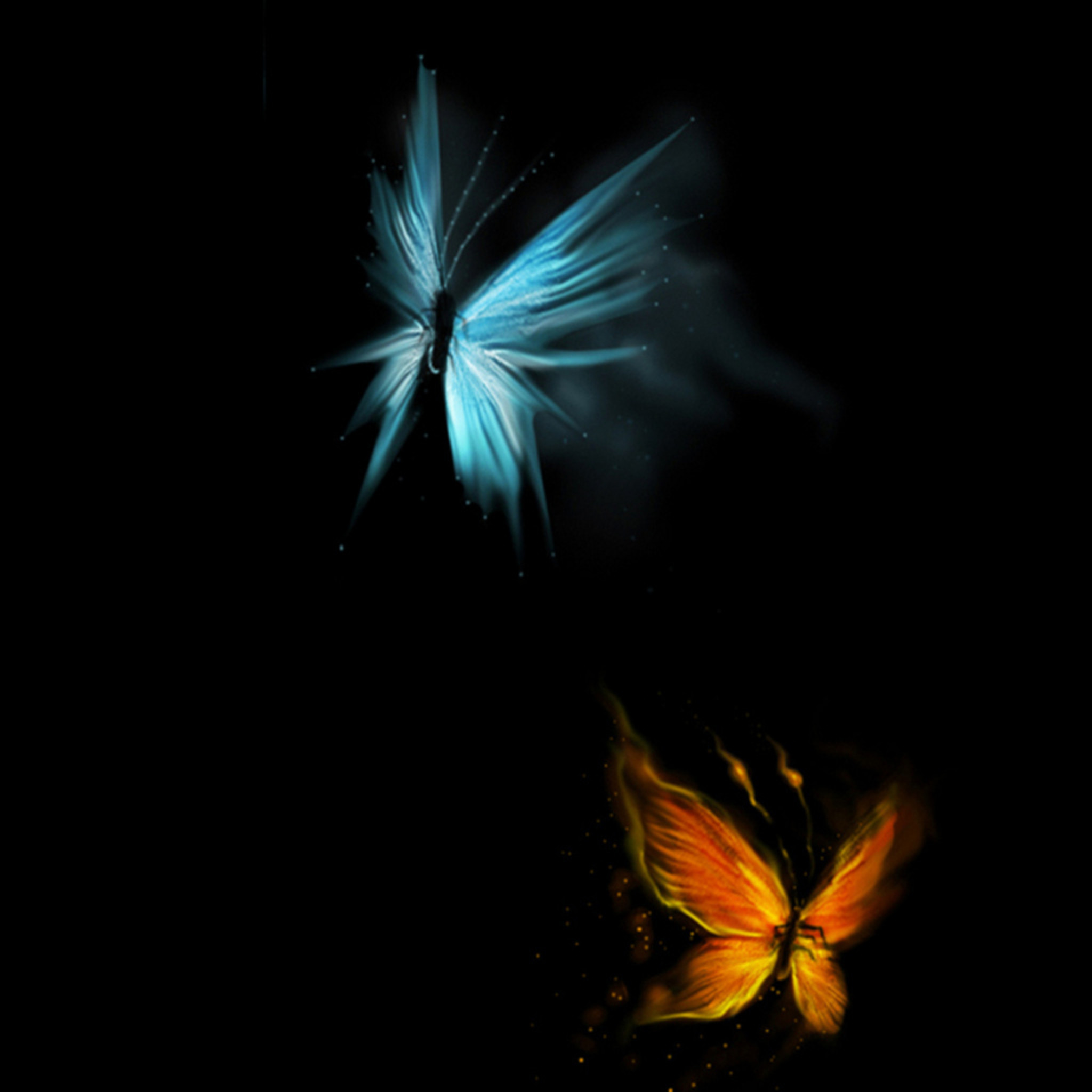 Dark Butterfly Wallpapers