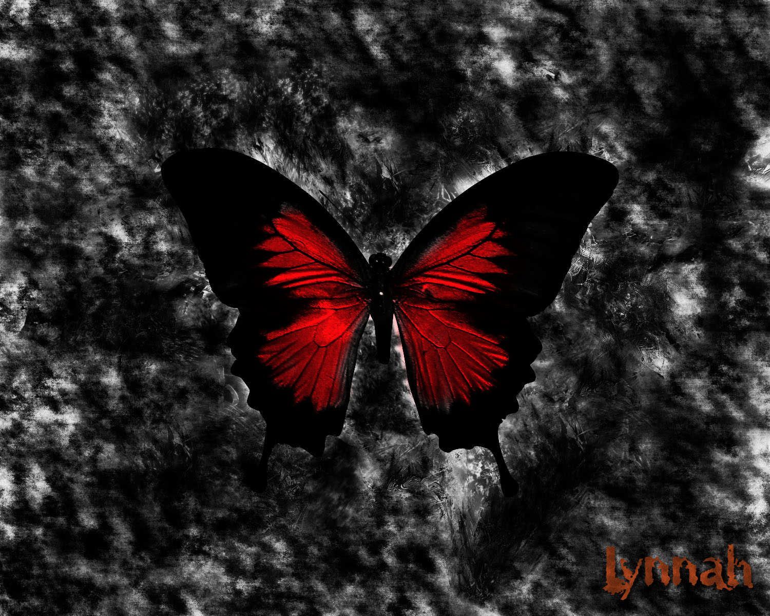 Dark Butterfly Wallpapers
