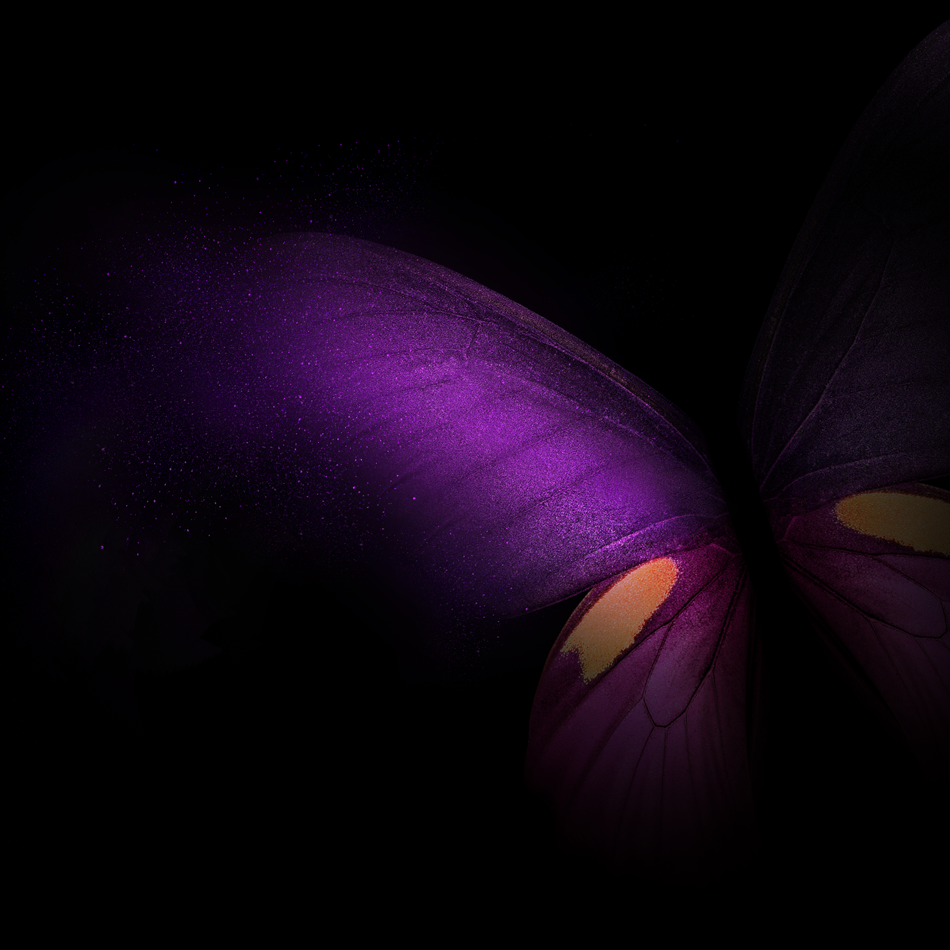 Dark Butterfly Wallpapers