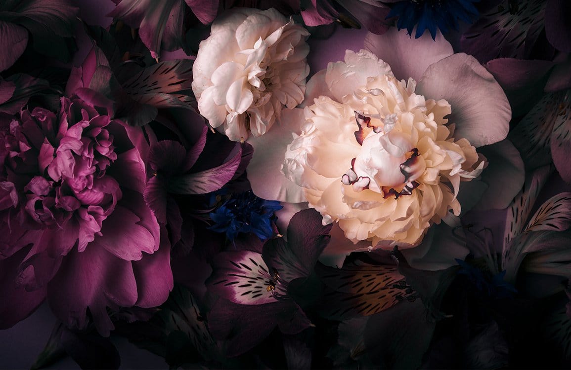 Dark Floral Wallpapers