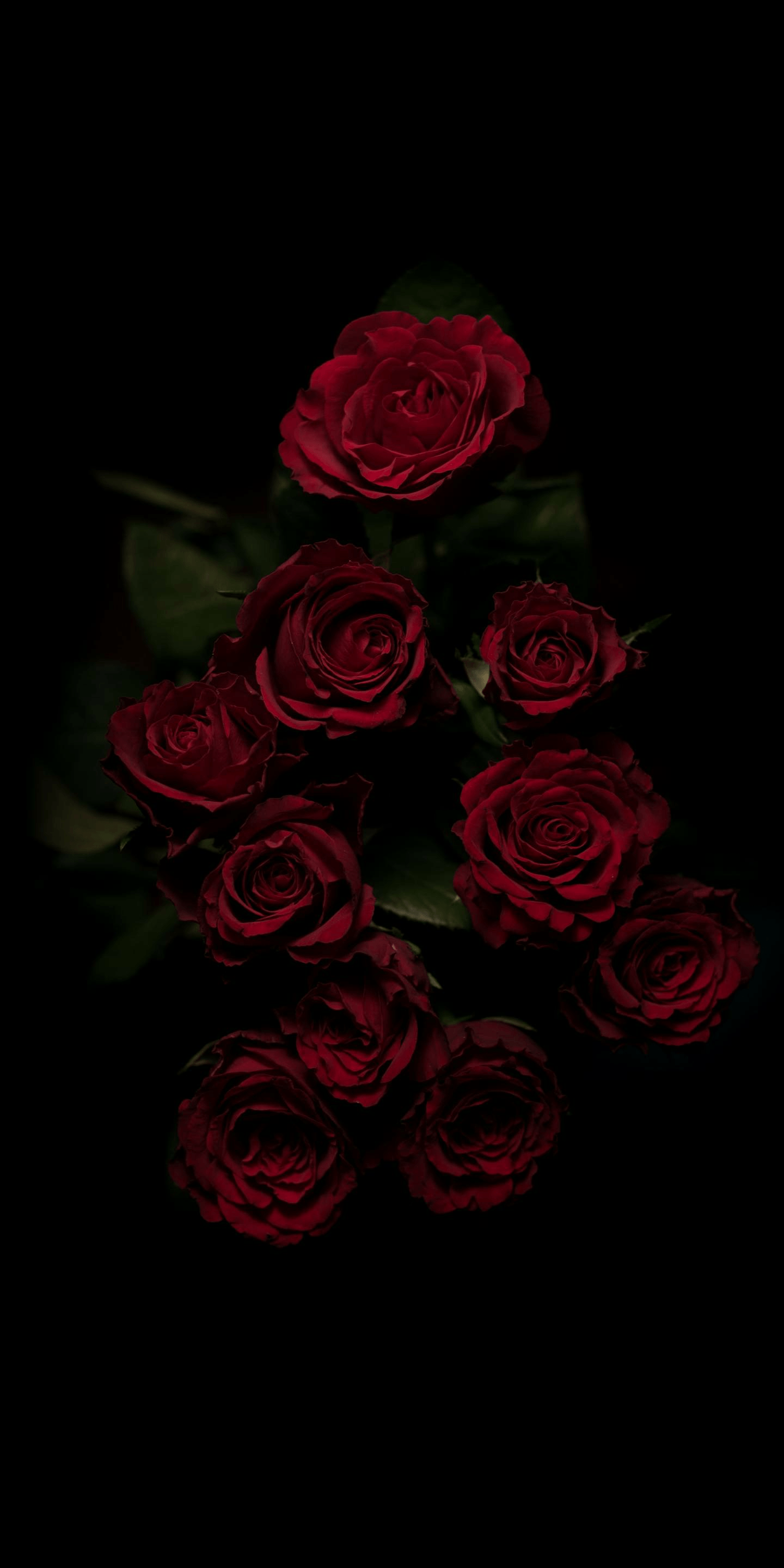 Dark Flower Aesthetic Wallpapers