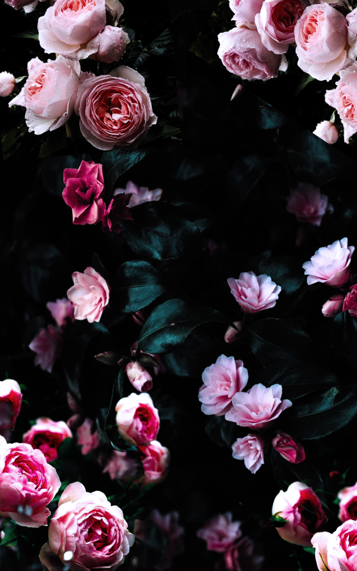 Dark Flowers Desktop Wallpapers