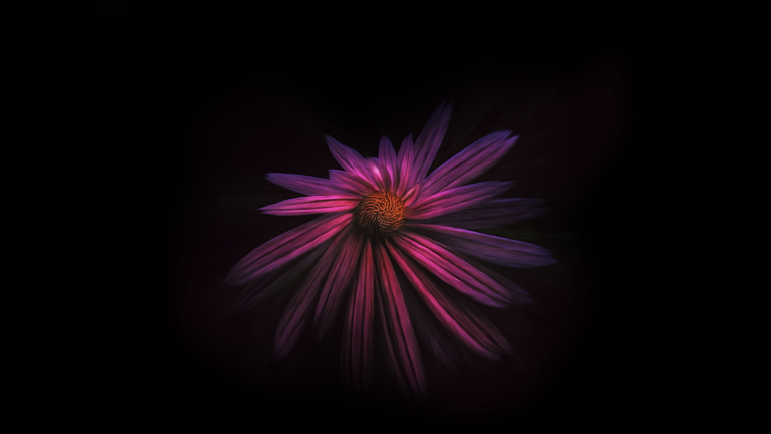 Dark Flowers Desktop Wallpapers