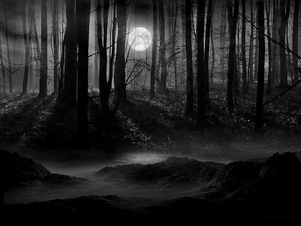 Dark Forest Moon Wallpapers