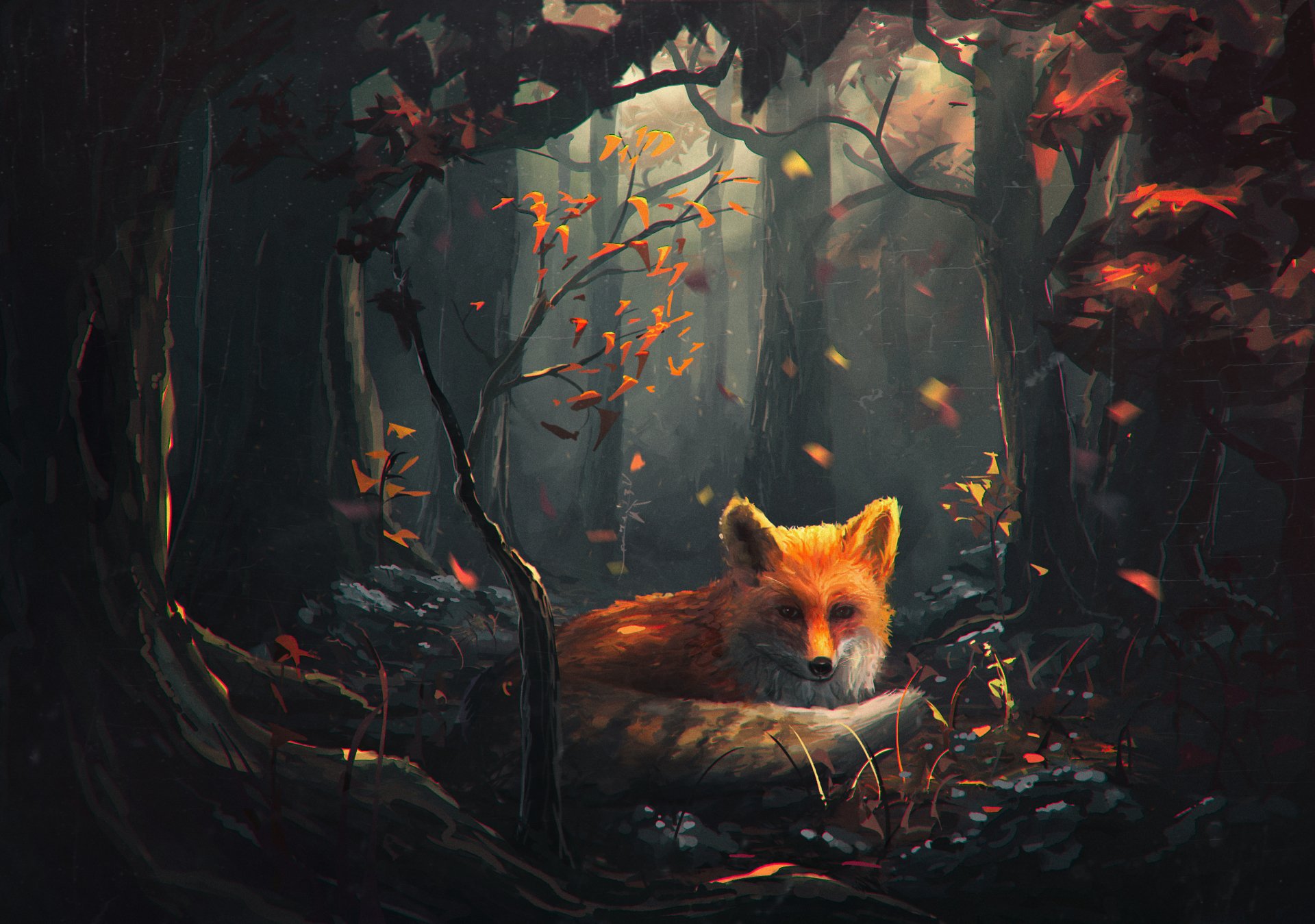 Dark Fox Wallpapers