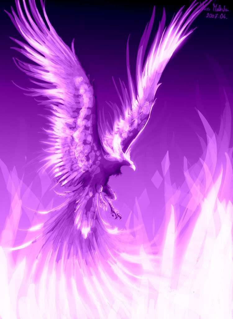 Dark Purple Phoenix Wallpapers