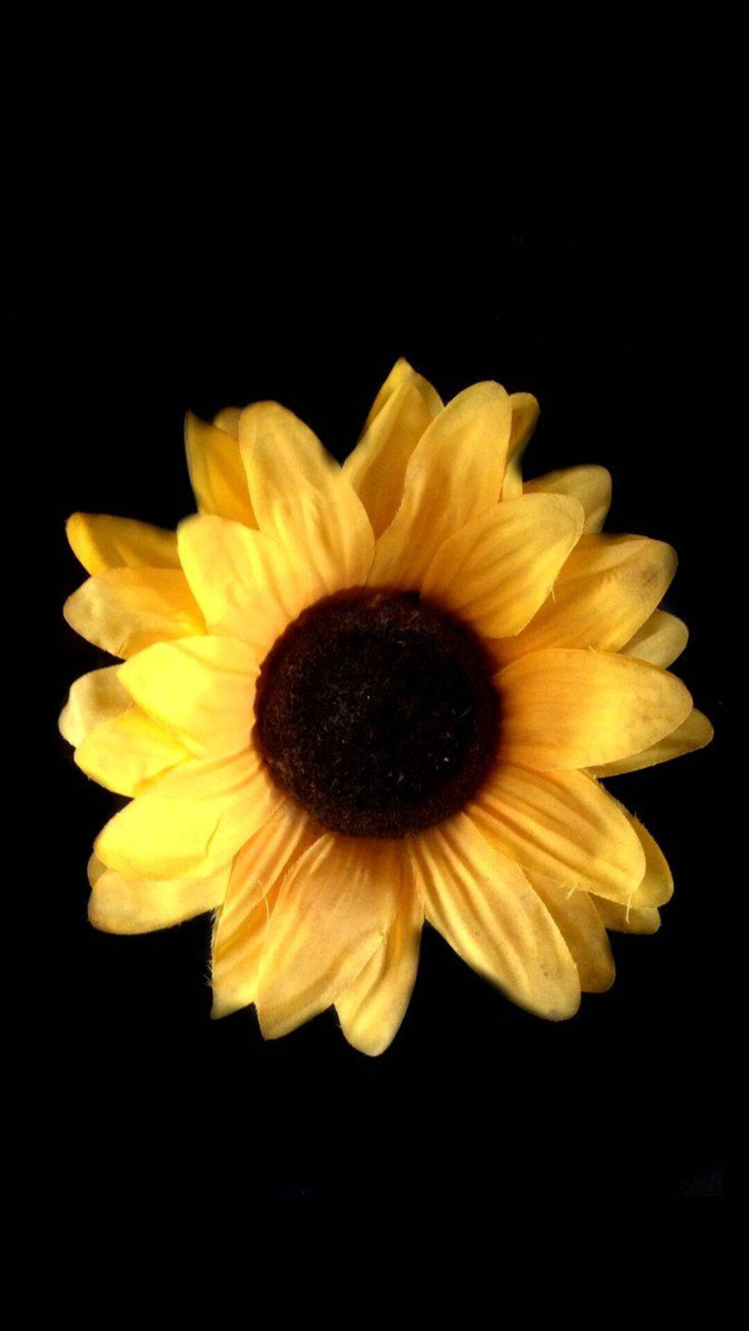 Dark Sunflower Wallpapers