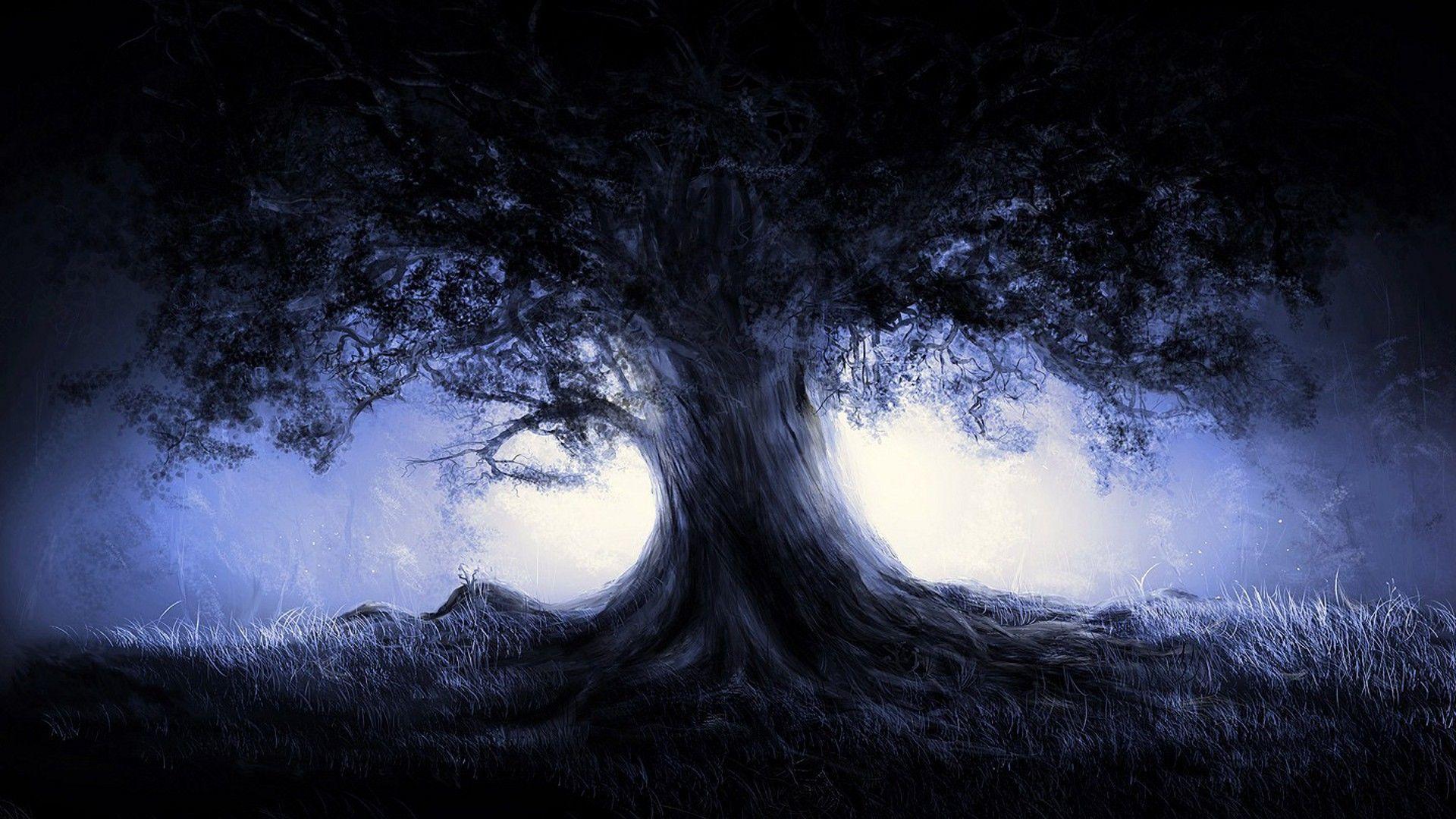 Dark Tree Wallpapers