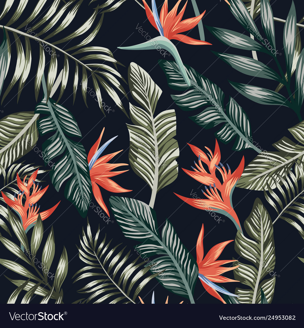 Dark Tropical Wallpapers