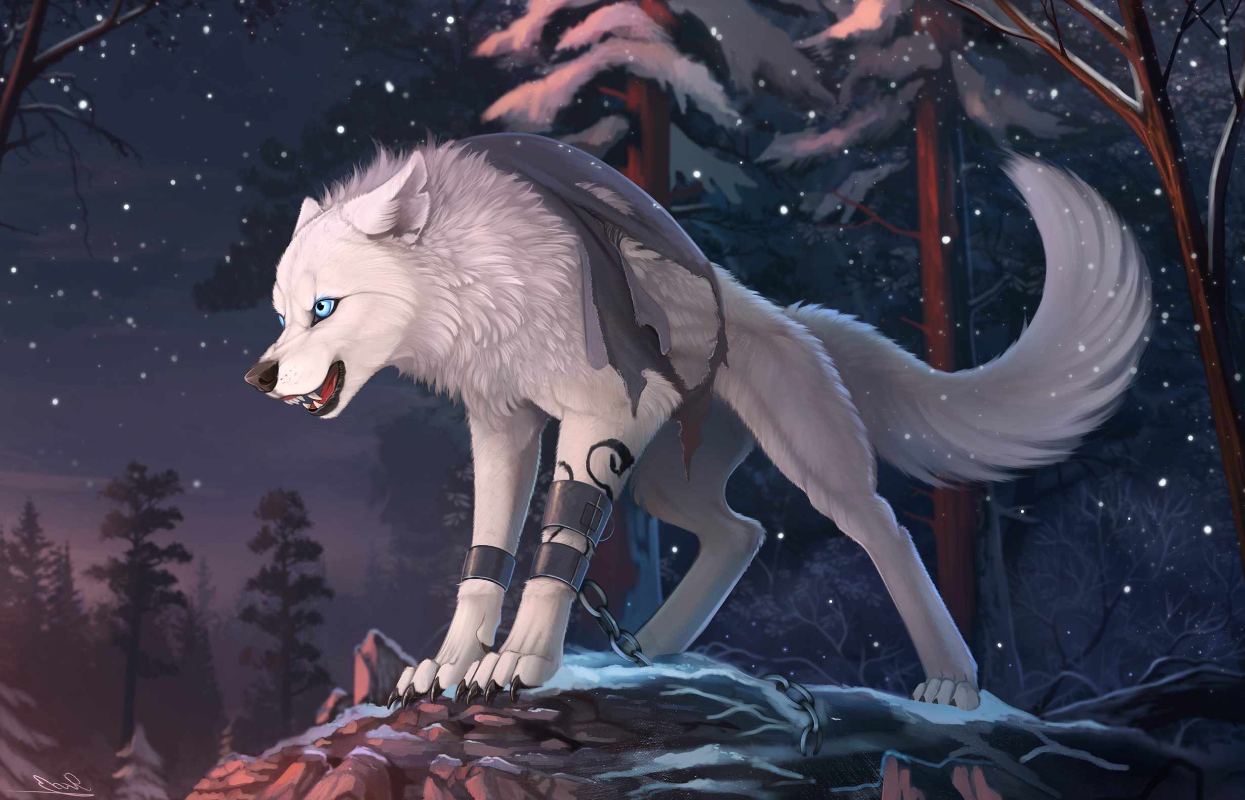 Dark Wolf Anime Wallpapers