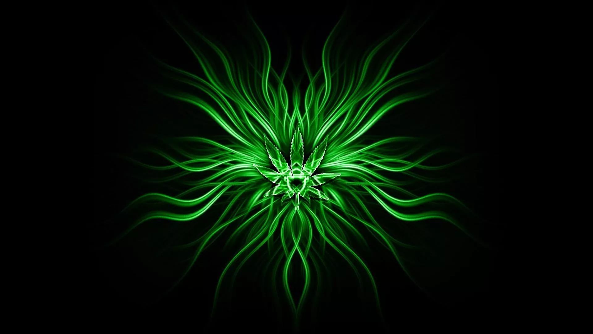 Neon Green Wallpapers