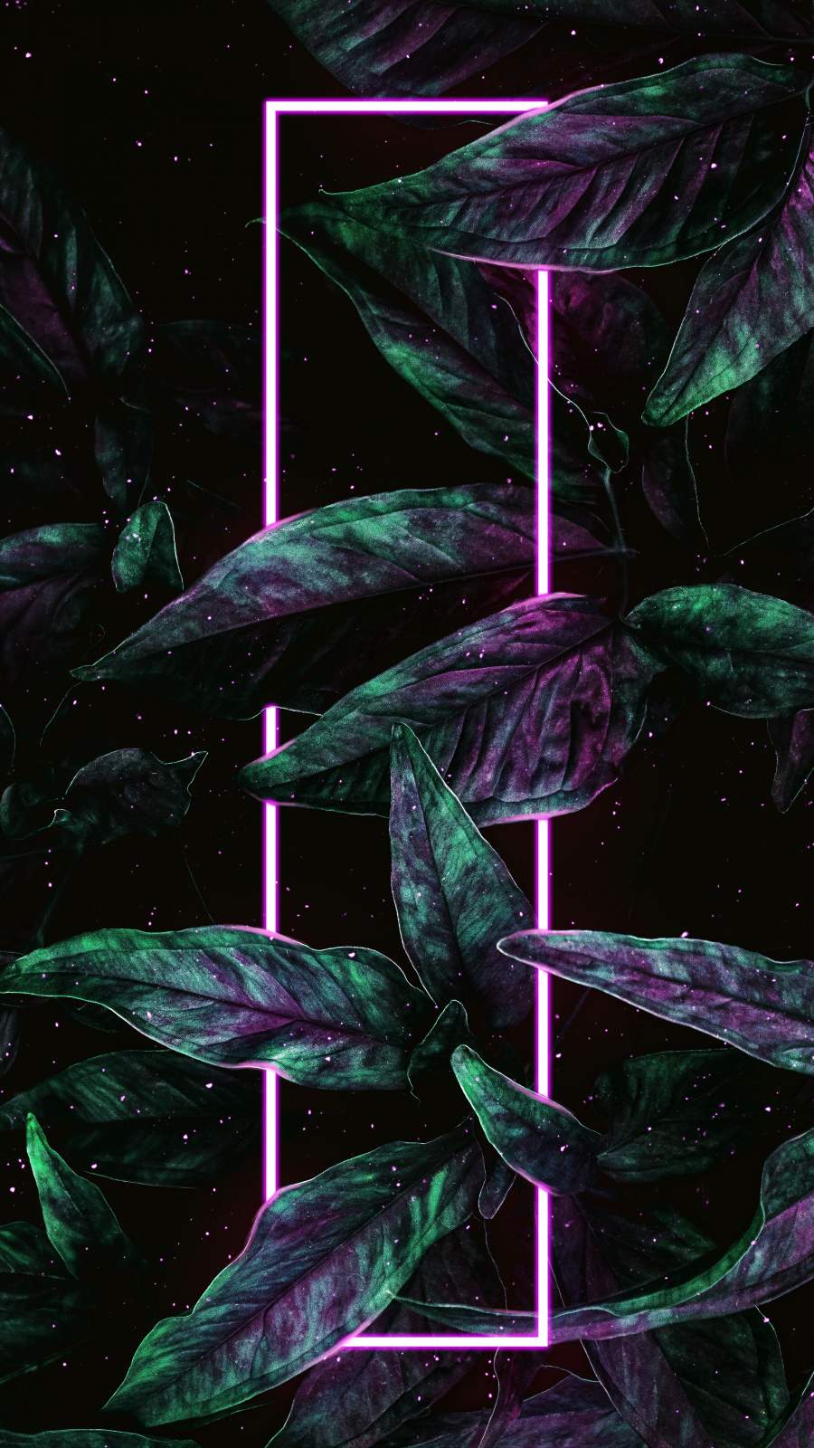 Neon Green Wallpapers