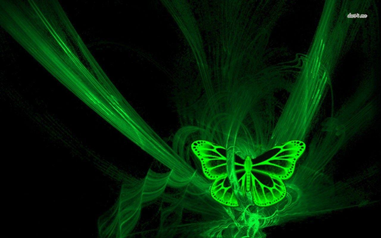 Neon Green Butterflies Wallpapers