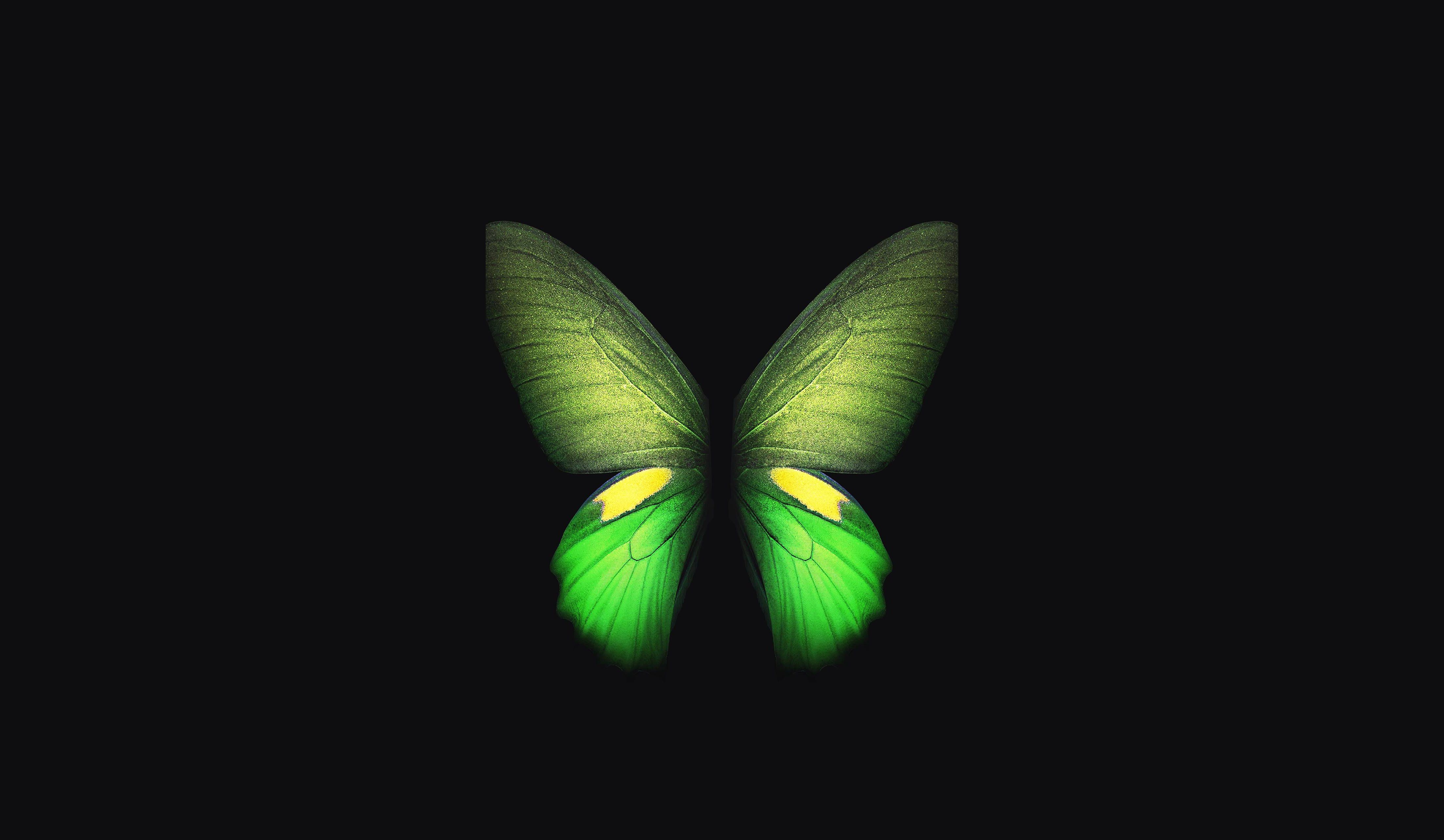 Neon Green Butterflies Wallpapers