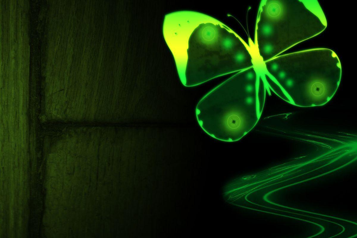 Neon Green Butterflies Wallpapers