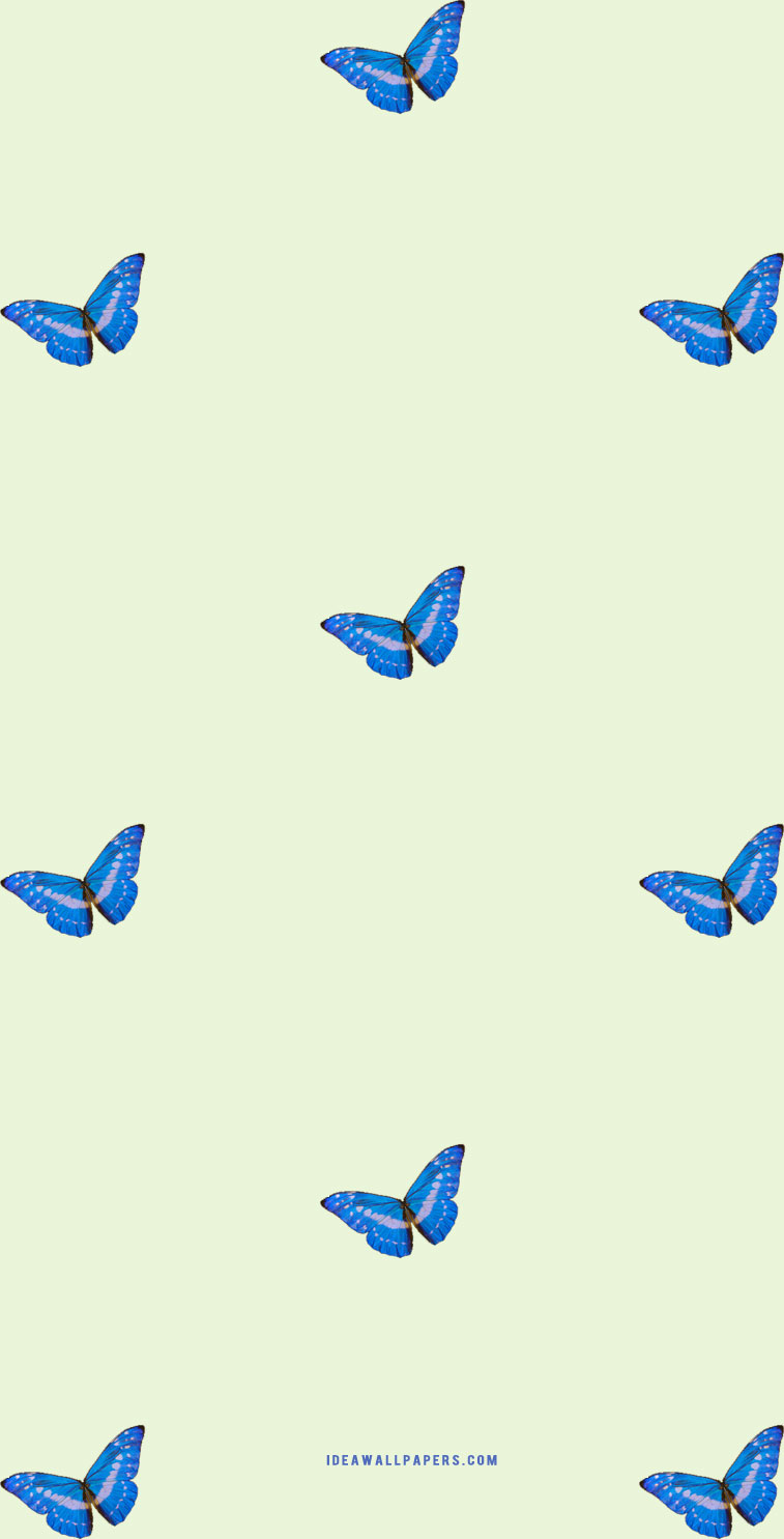 Neon Green Butterflies Wallpapers